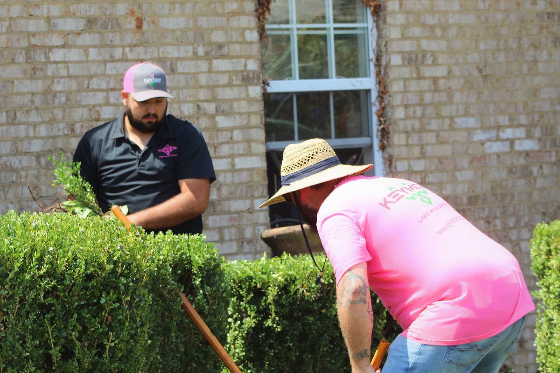 Two workers trimming a green hedge beside a brick building, one in a pink shirt and straw hat.