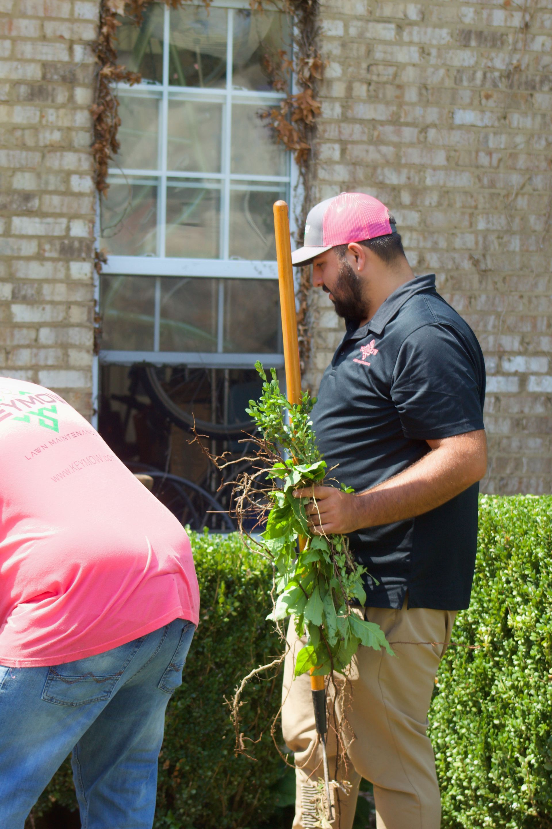 Two people planting a small tree outside a brick house, one holding the sapling and a shovel nearby.