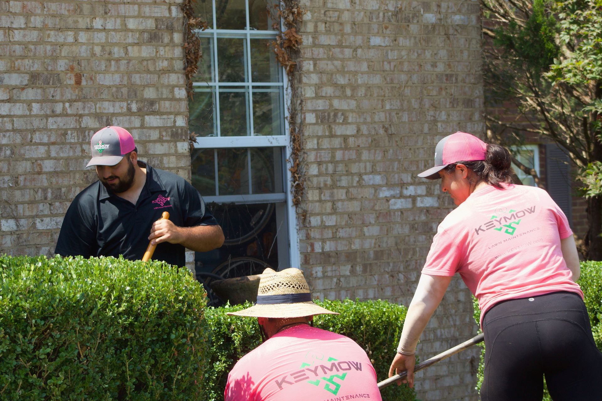 Three people in pink shirts gardening beside a brick building and window.