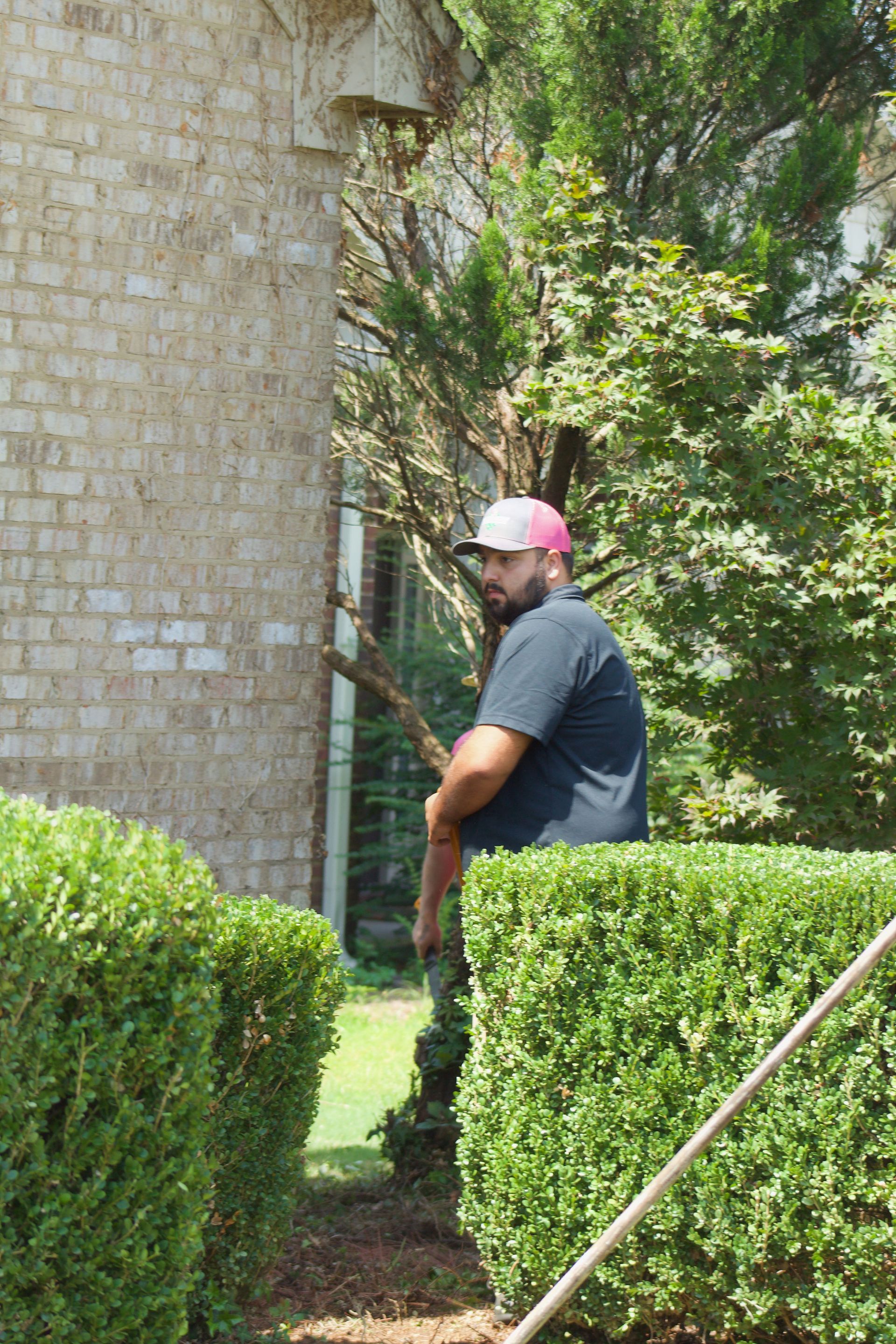 Person in a pink cap standing by a stone wall and hedge in a sunny garden.