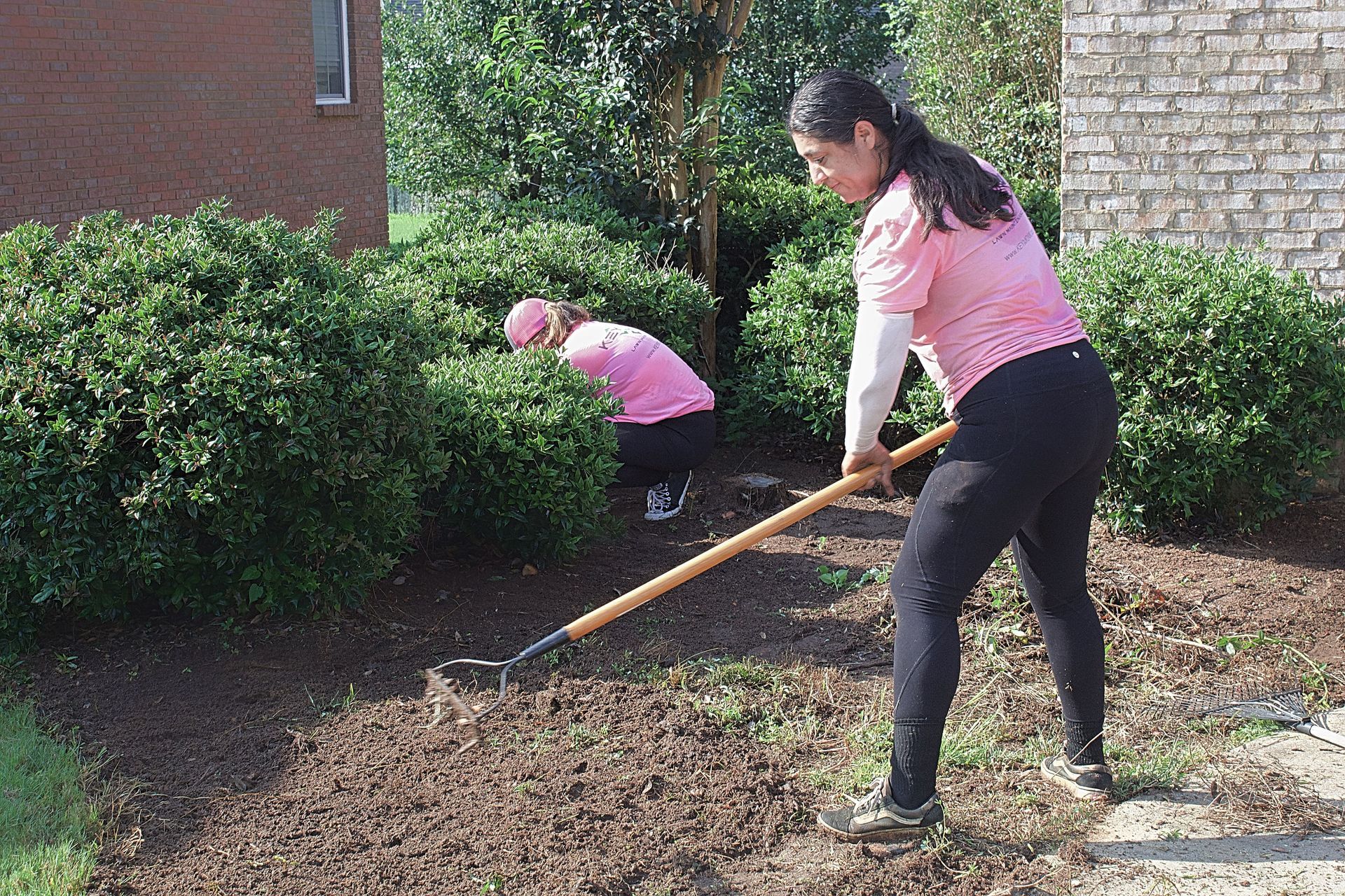 Two people in pink shirts raking leaves in a landscaped yard beside a building.