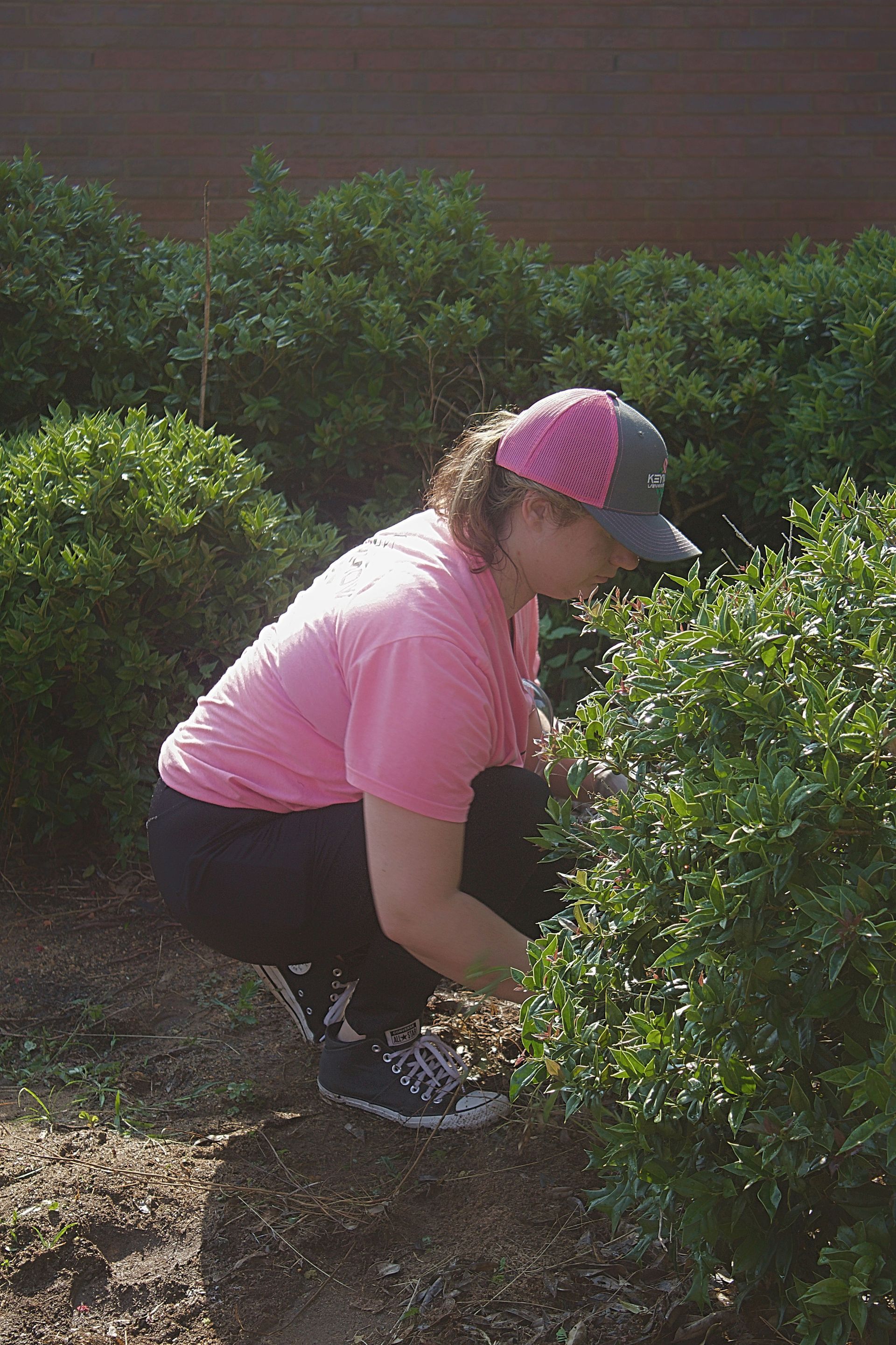 Person crouching in a garden, wearing a pink shirt and cap, tending to green bushes.