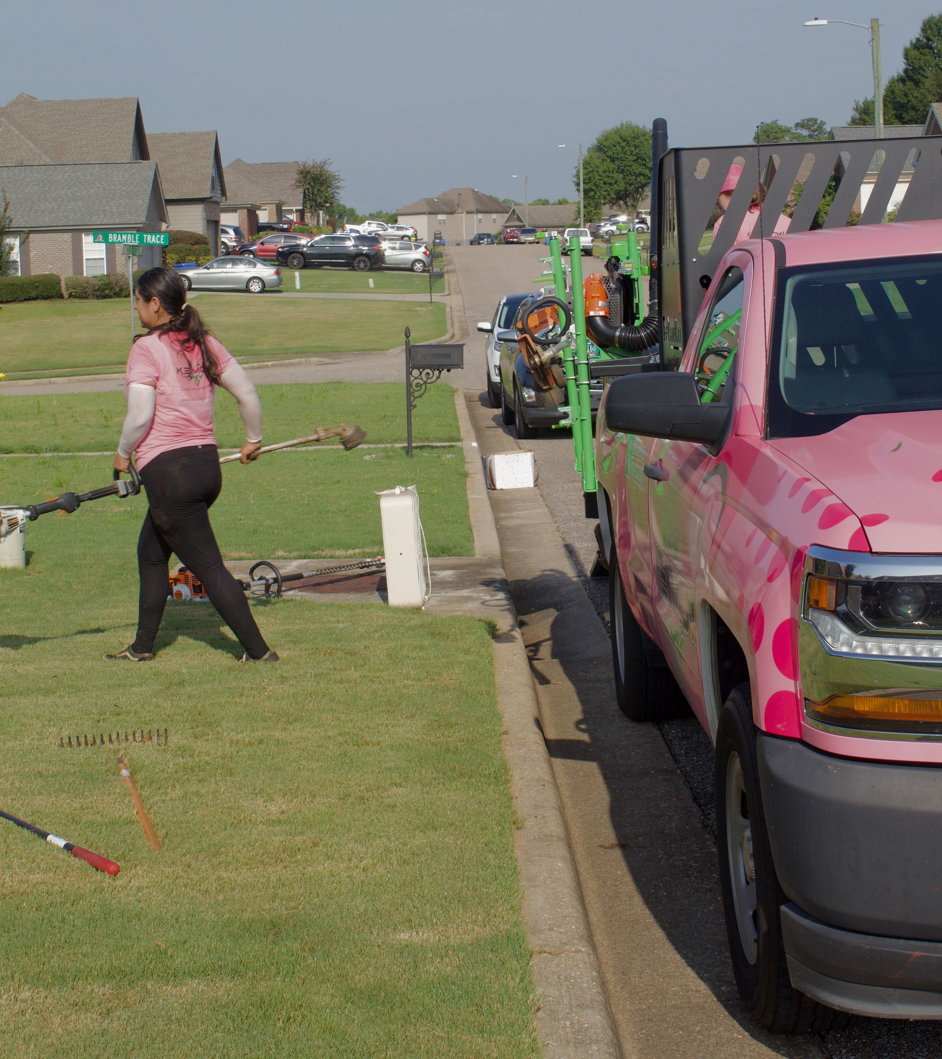 Person walking on a grassy sidewalk beside parked vehicles, including a pink truck, in a suburban neighborhood.