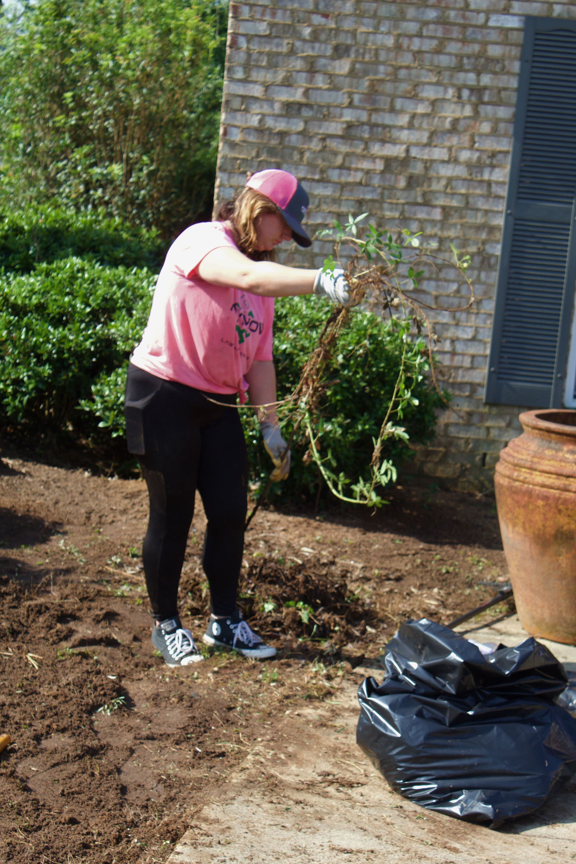 Person in pink shirt and hat trimming a bush beside a brick house.