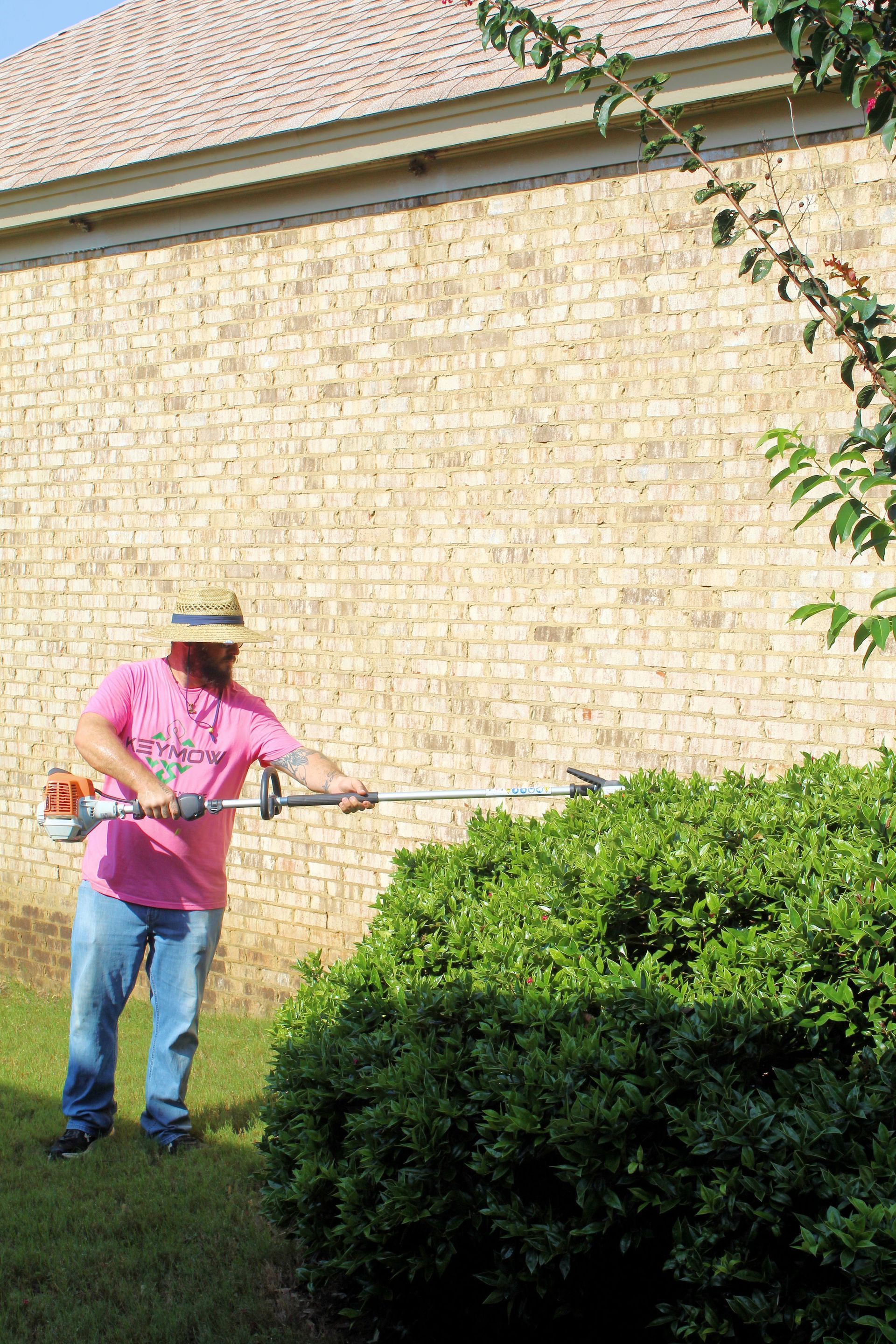 Person trimming a large green shrub with hedge shears in a yard beside a brick wall.