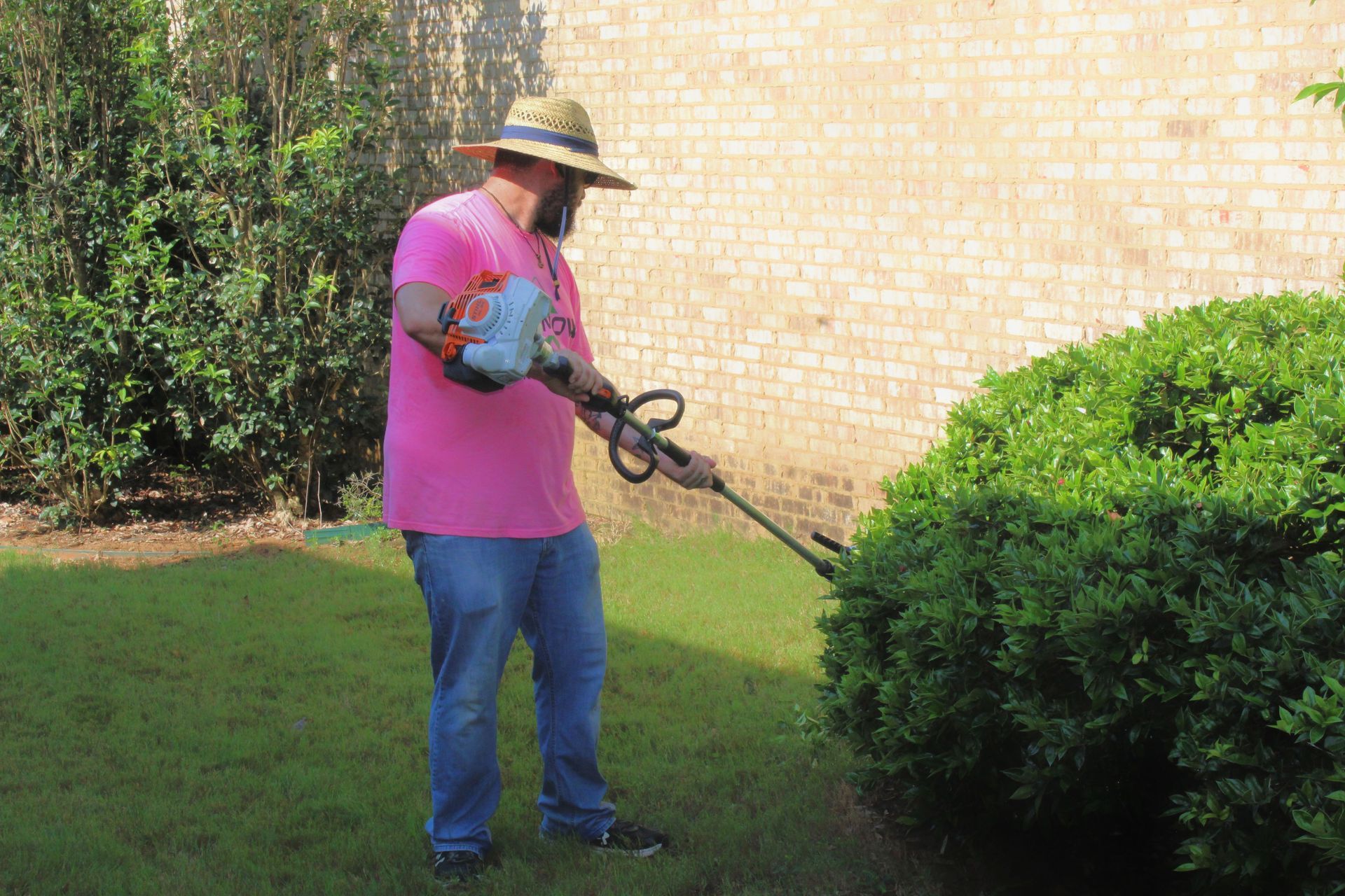 Person in a pink shirt trimming a bush with a hedge trimmer in a yard.