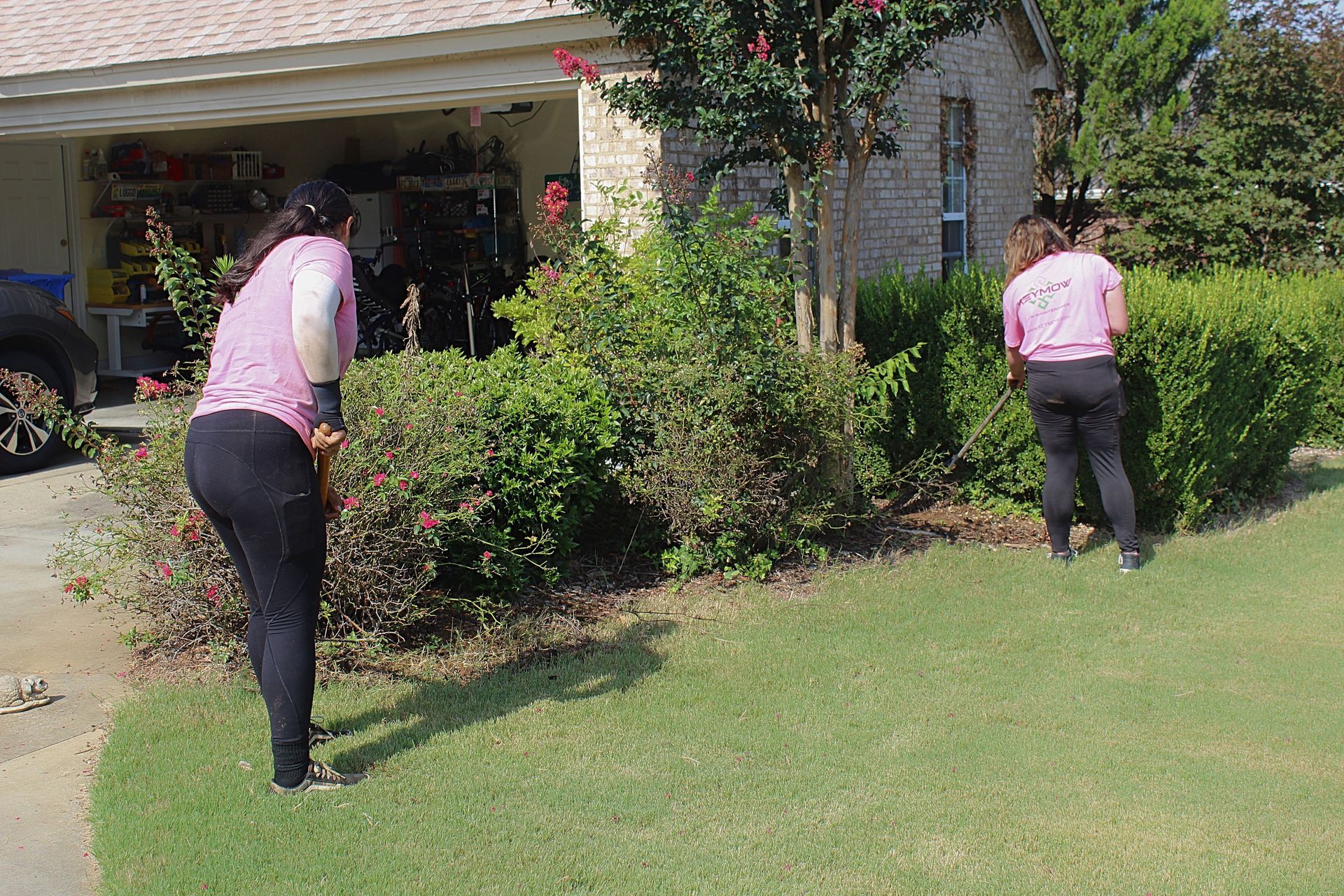 Two people in pink shirts trimming bushes in front of a house.