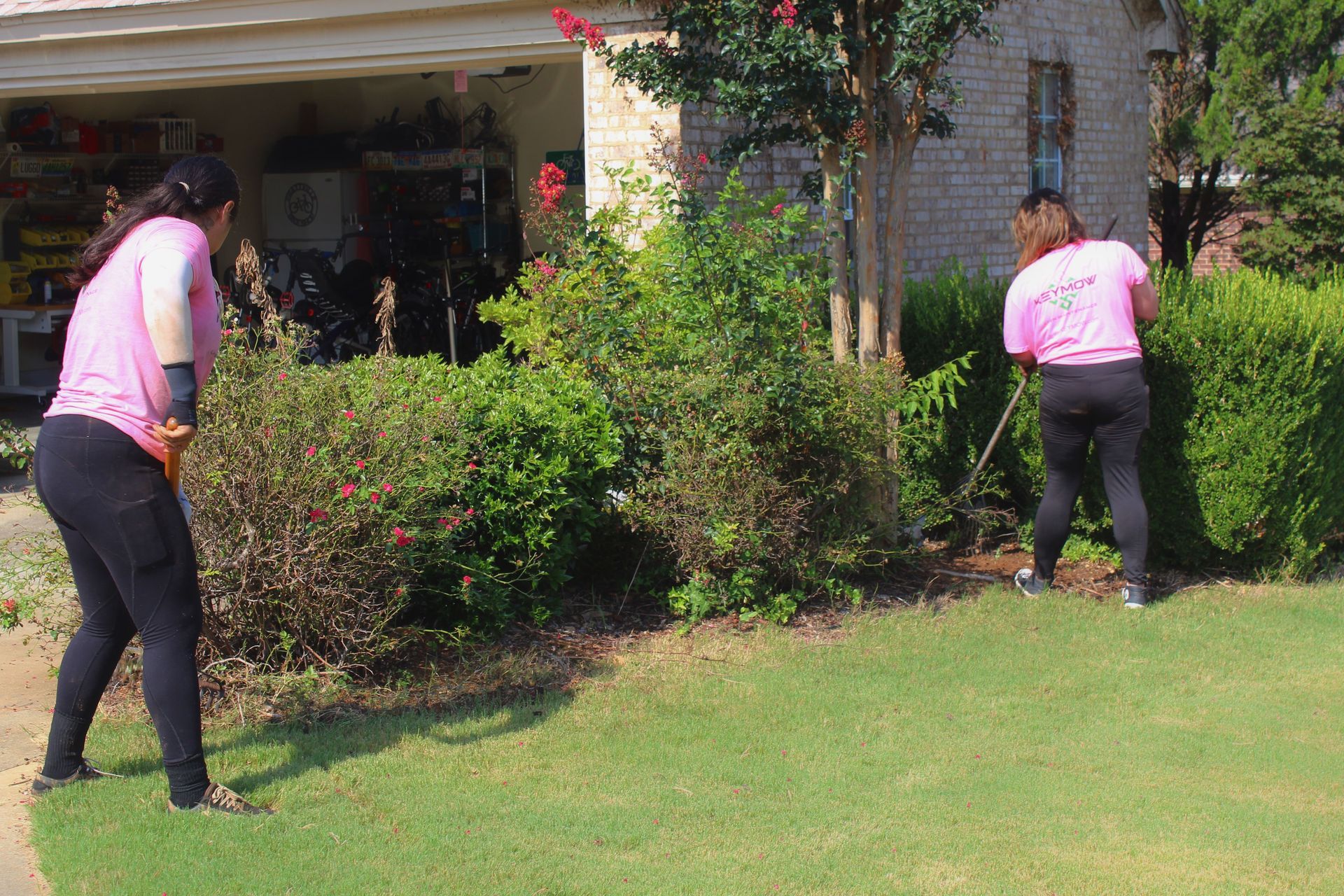 Two people in pink shirts gardening beside a house, trimming bushes on a sunny lawn.