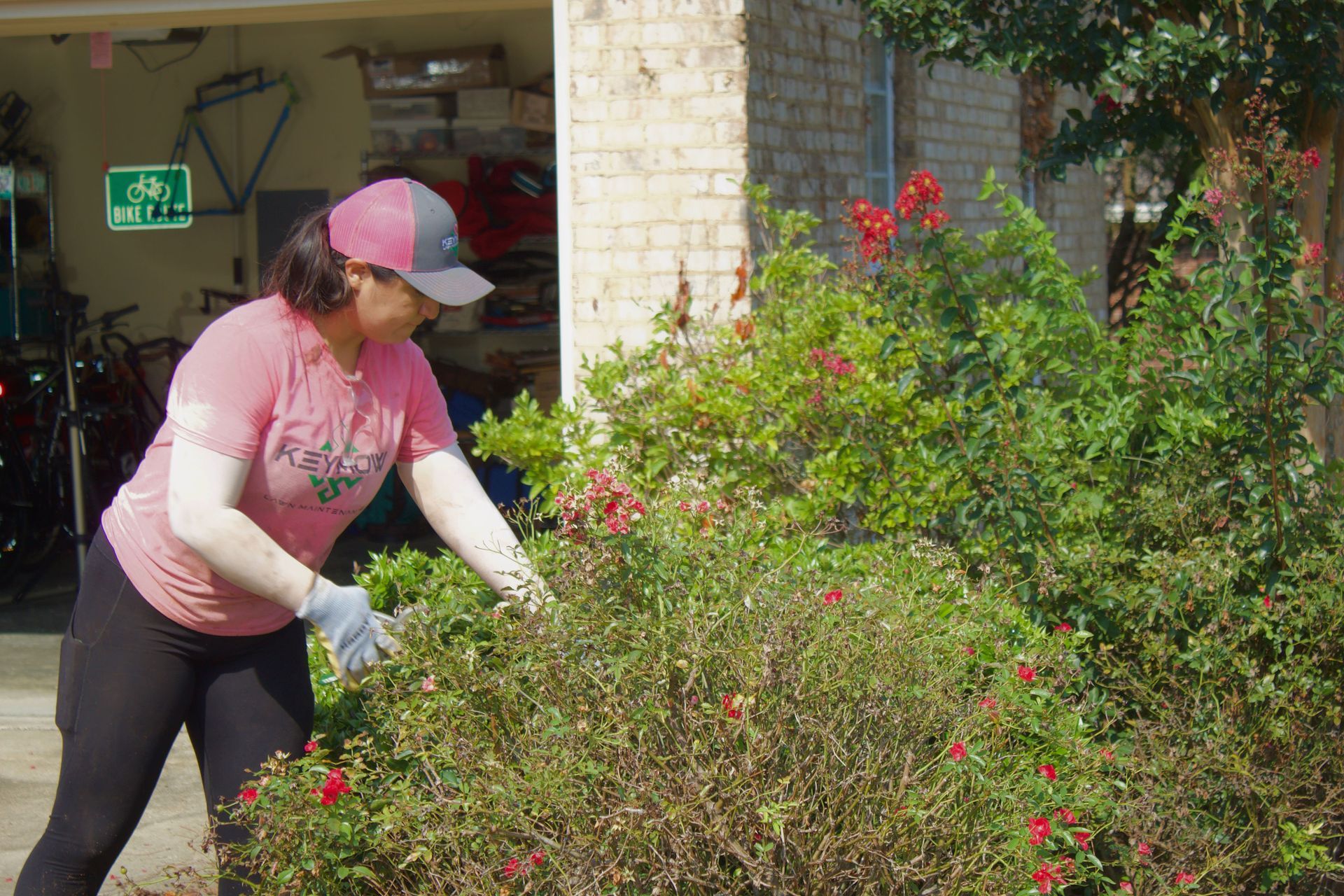 Person in pink shirt and cap tending flowering bushes beside a building entrance