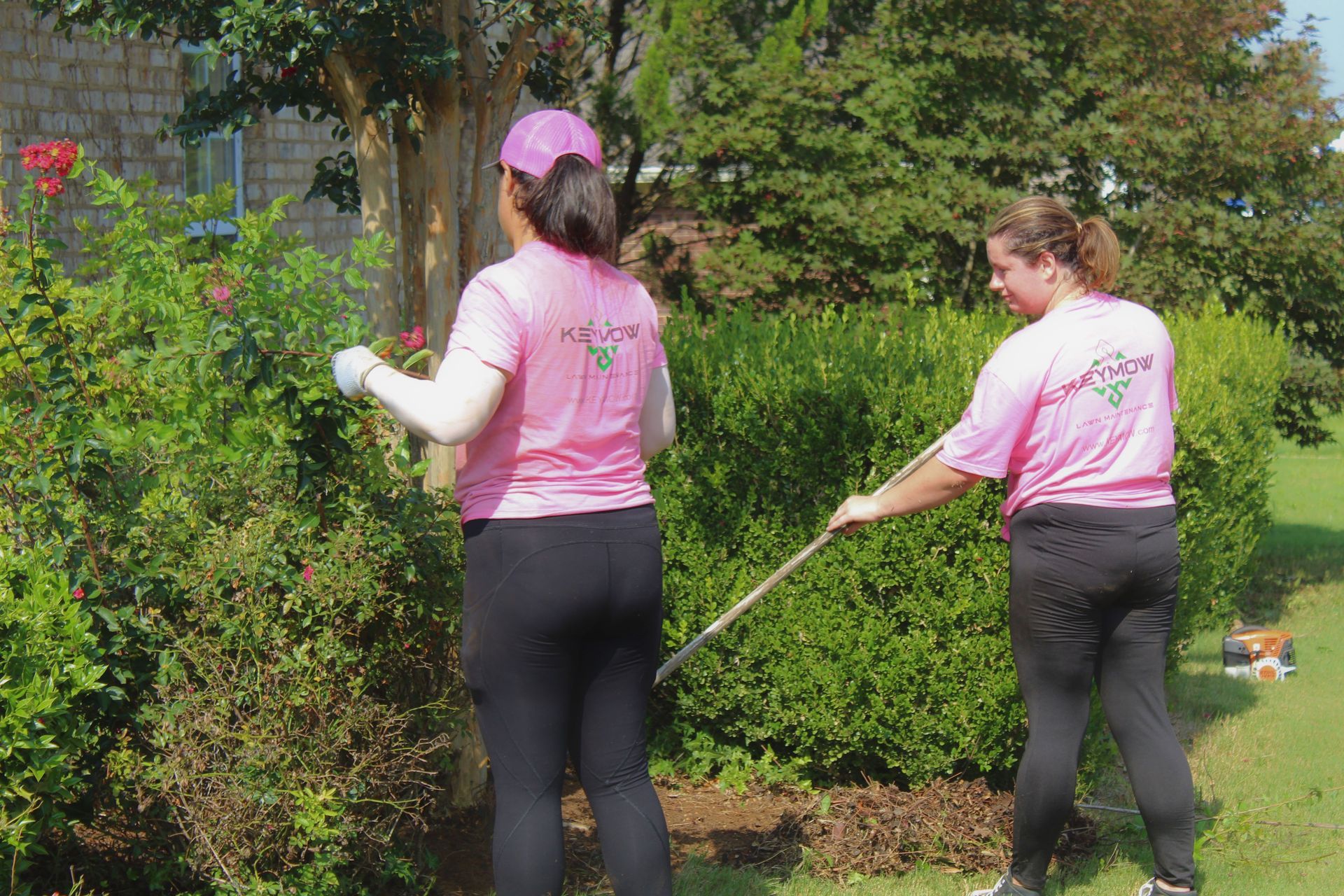 Two people in pink shirts and black pants garden with a hose in a sunny yard.