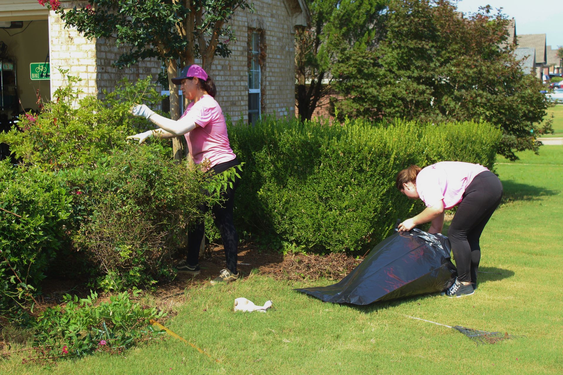 Two people gardening: one trimming bushes, one bagging leaves on a sunny lawn.