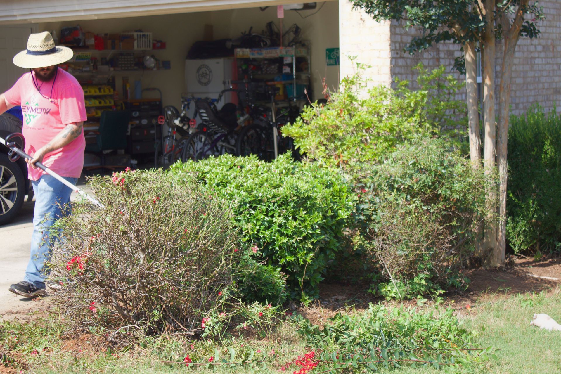 Person in a pink shirt and white hat using a hose to water bushes in a front yard.