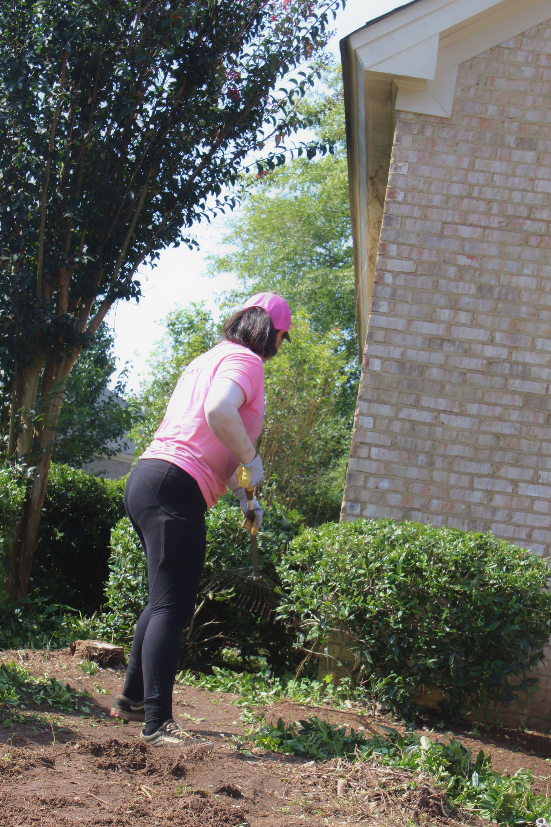 Person in pink shirt and black pants bending near a house beside bushes and trees.