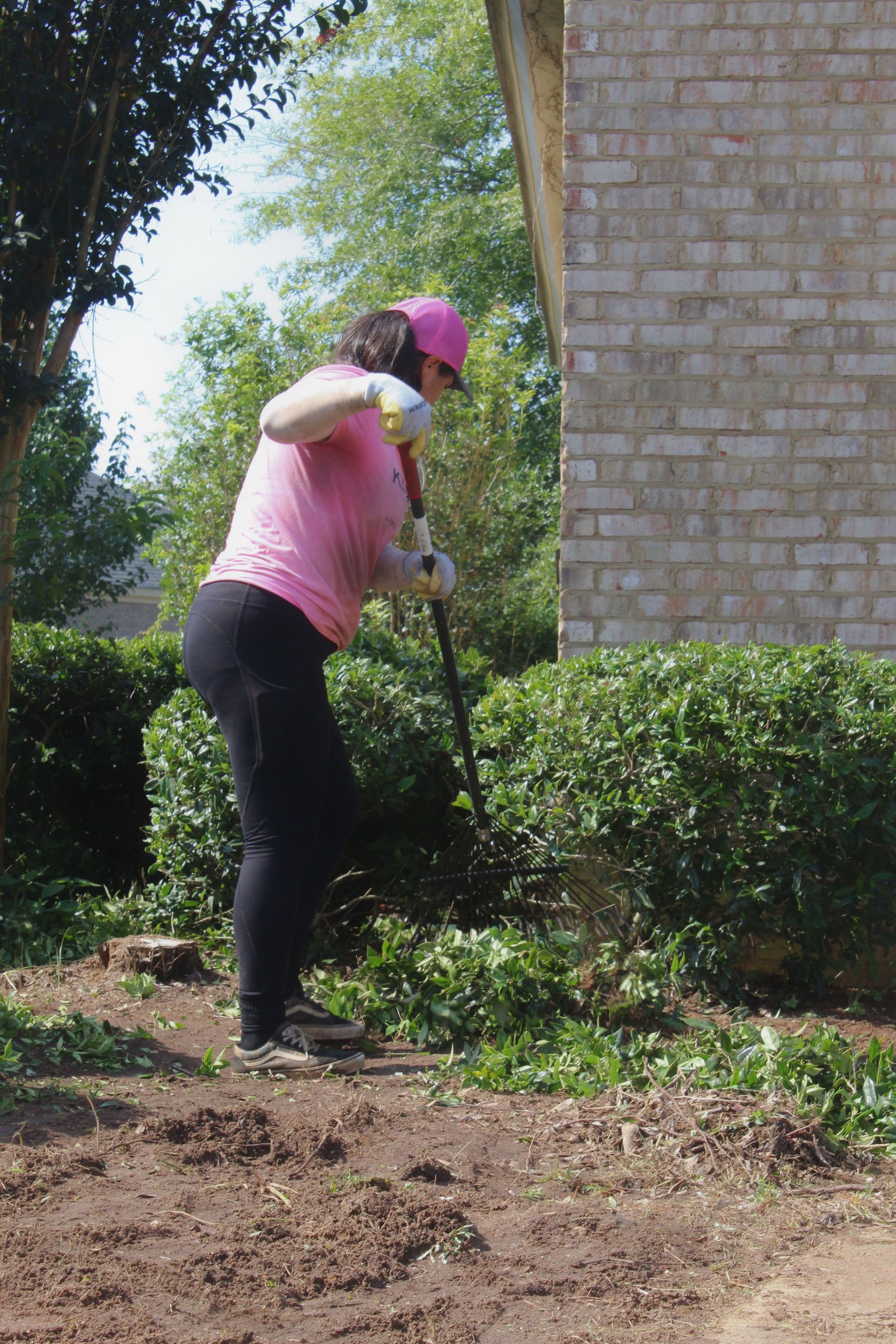 Person in pink shirt and hat trimming bushes beside a brick building outdoors.
