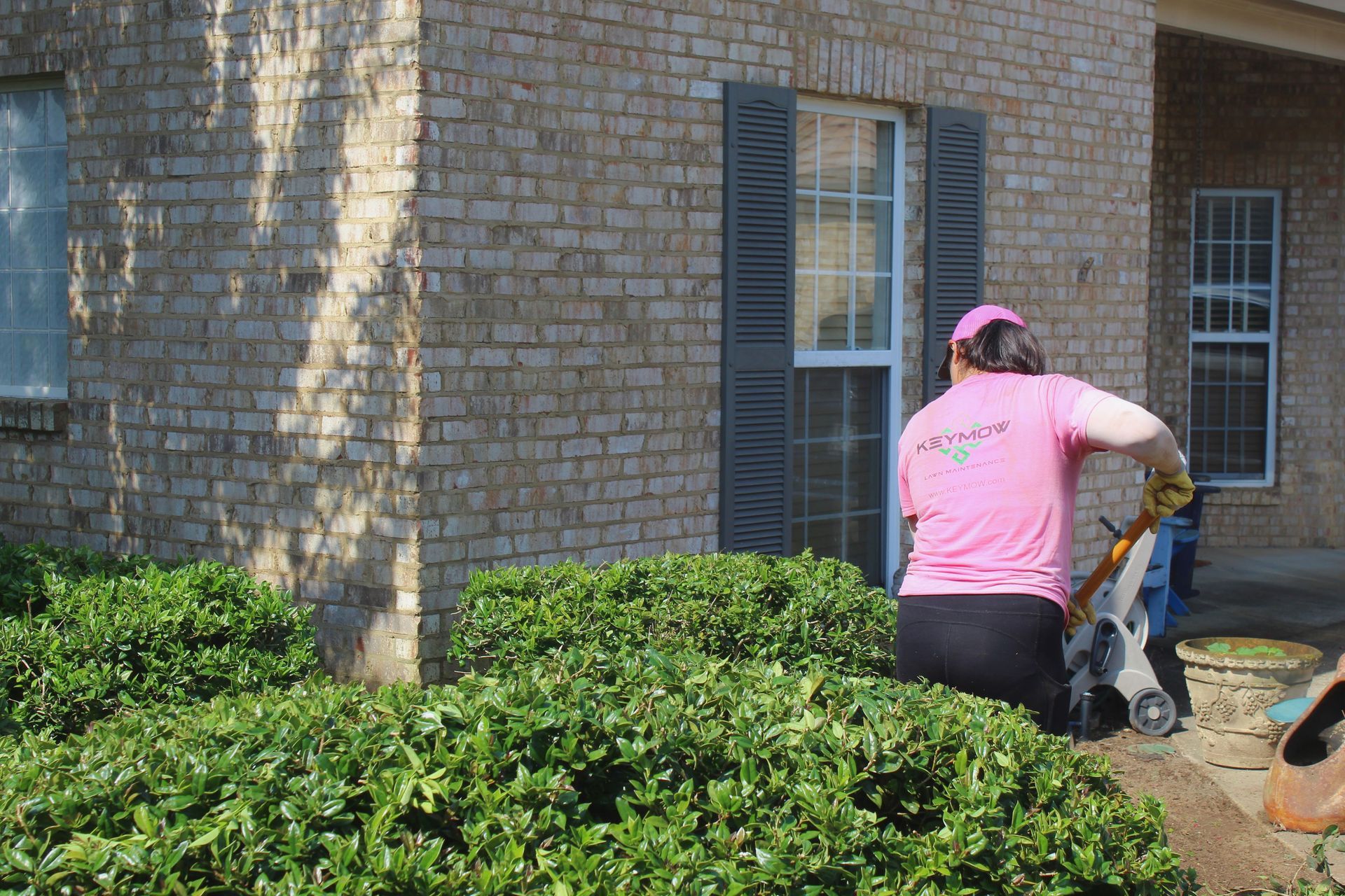 Person in a pink shirt and cap using a wheelbarrow beside a brick house and trimmed bushes.