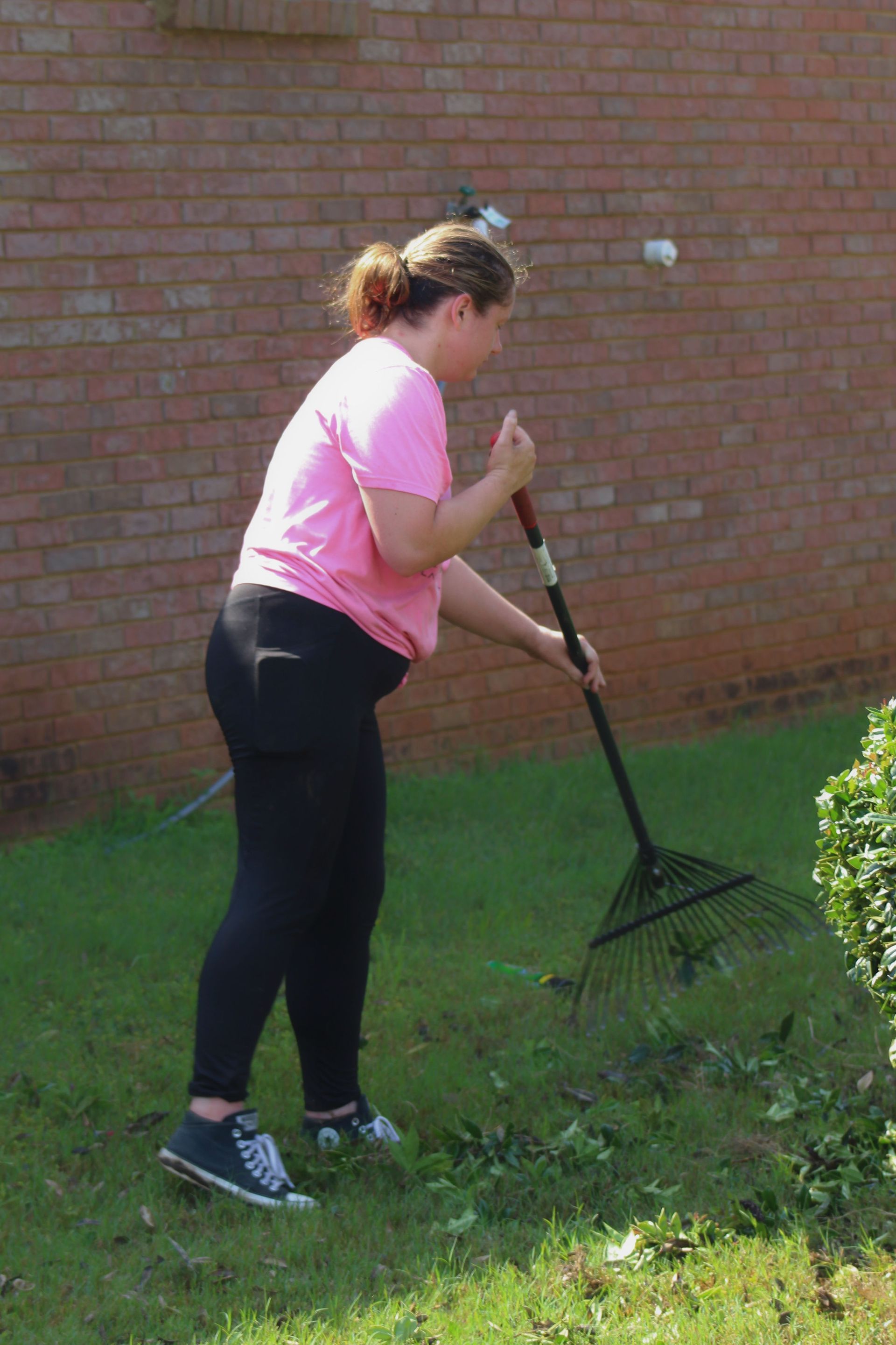 Person raking grass beside a brick wall, wearing a pink shirt and black pants.