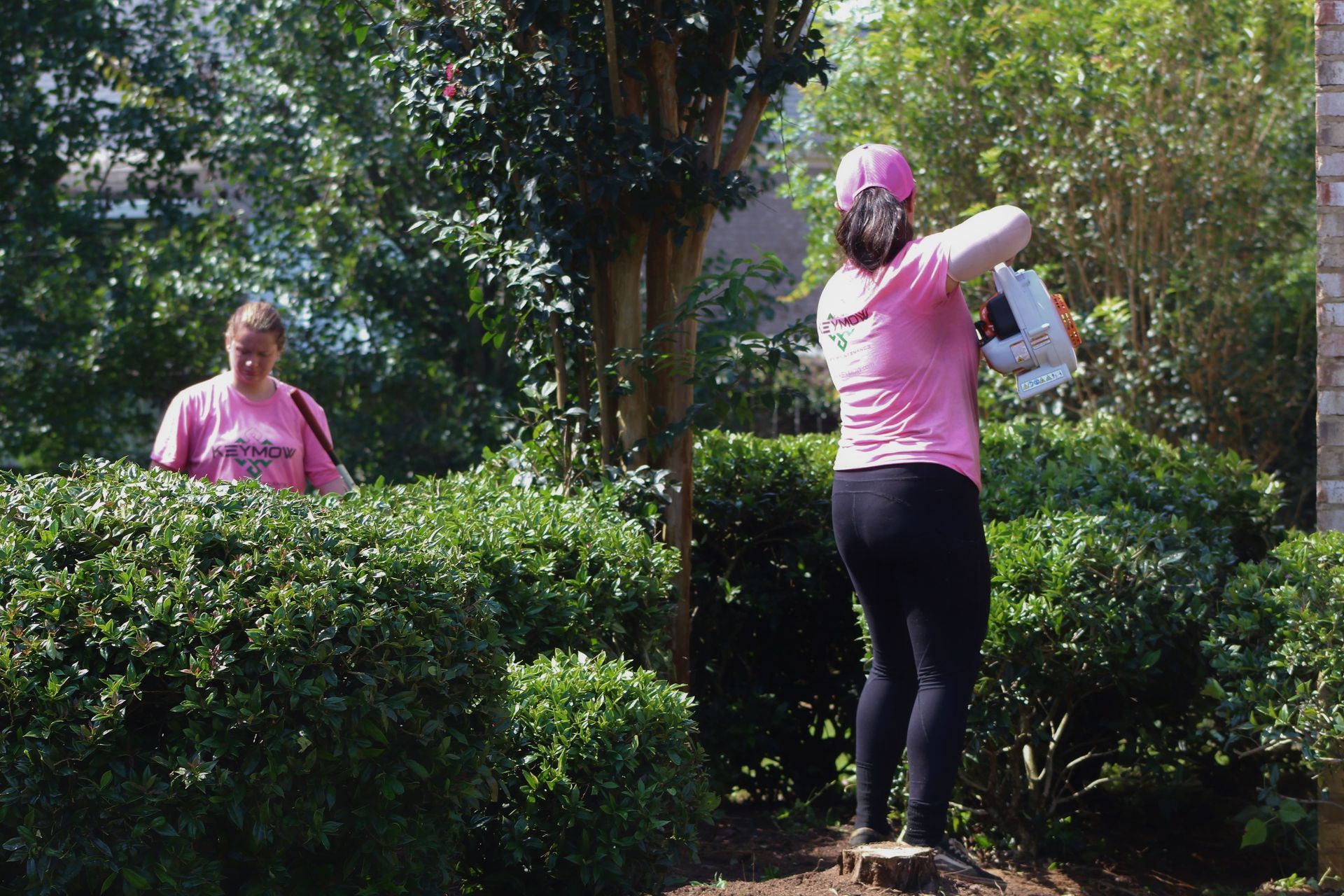 Two people in pink shirts stand among bushes in a sunny garden, one holding a white object.