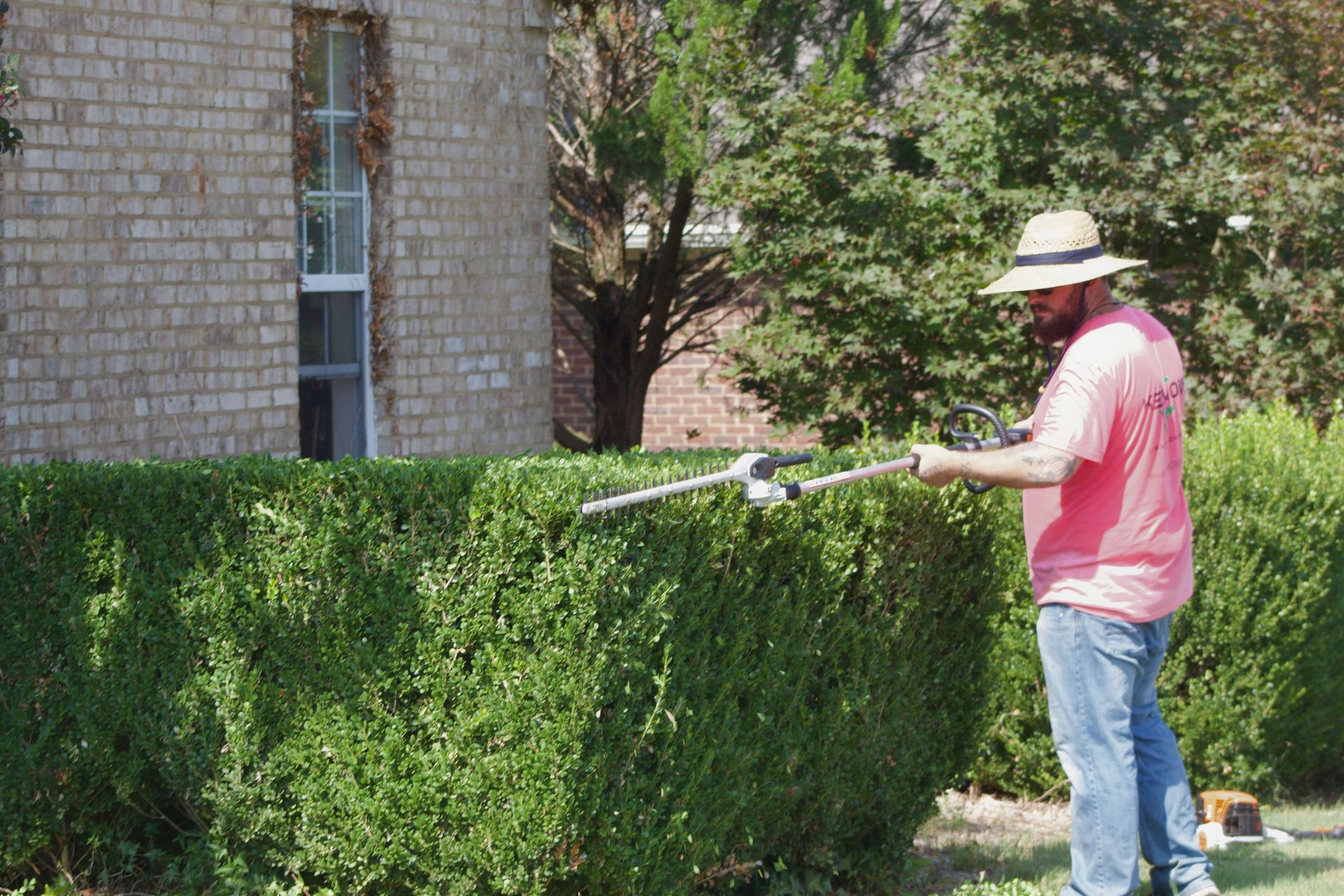 Person trimming a green hedge beside a brick building with a long hedge trimmer.