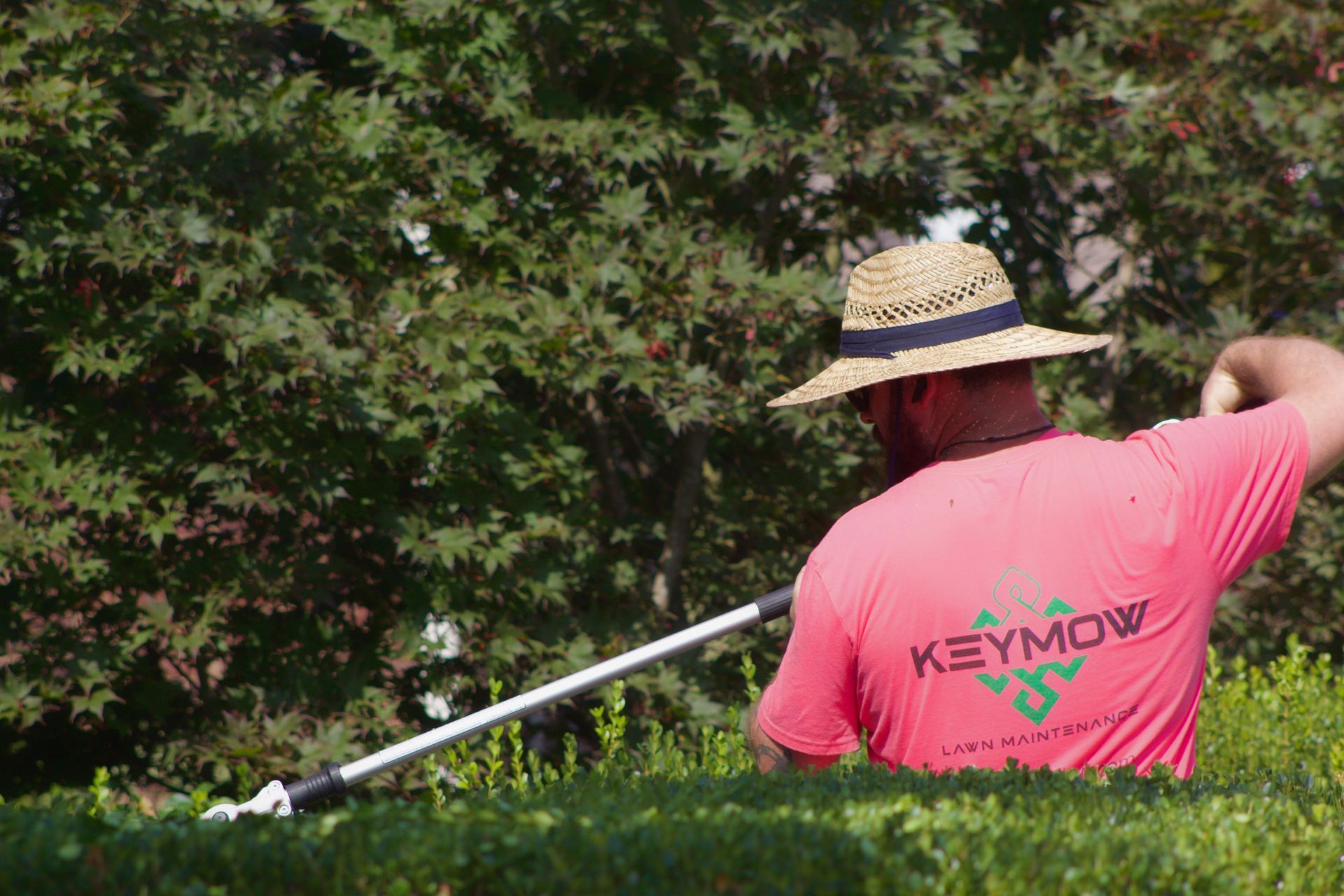 Person in pink shirt and straw hat holding a long pole in a leafy outdoor setting
