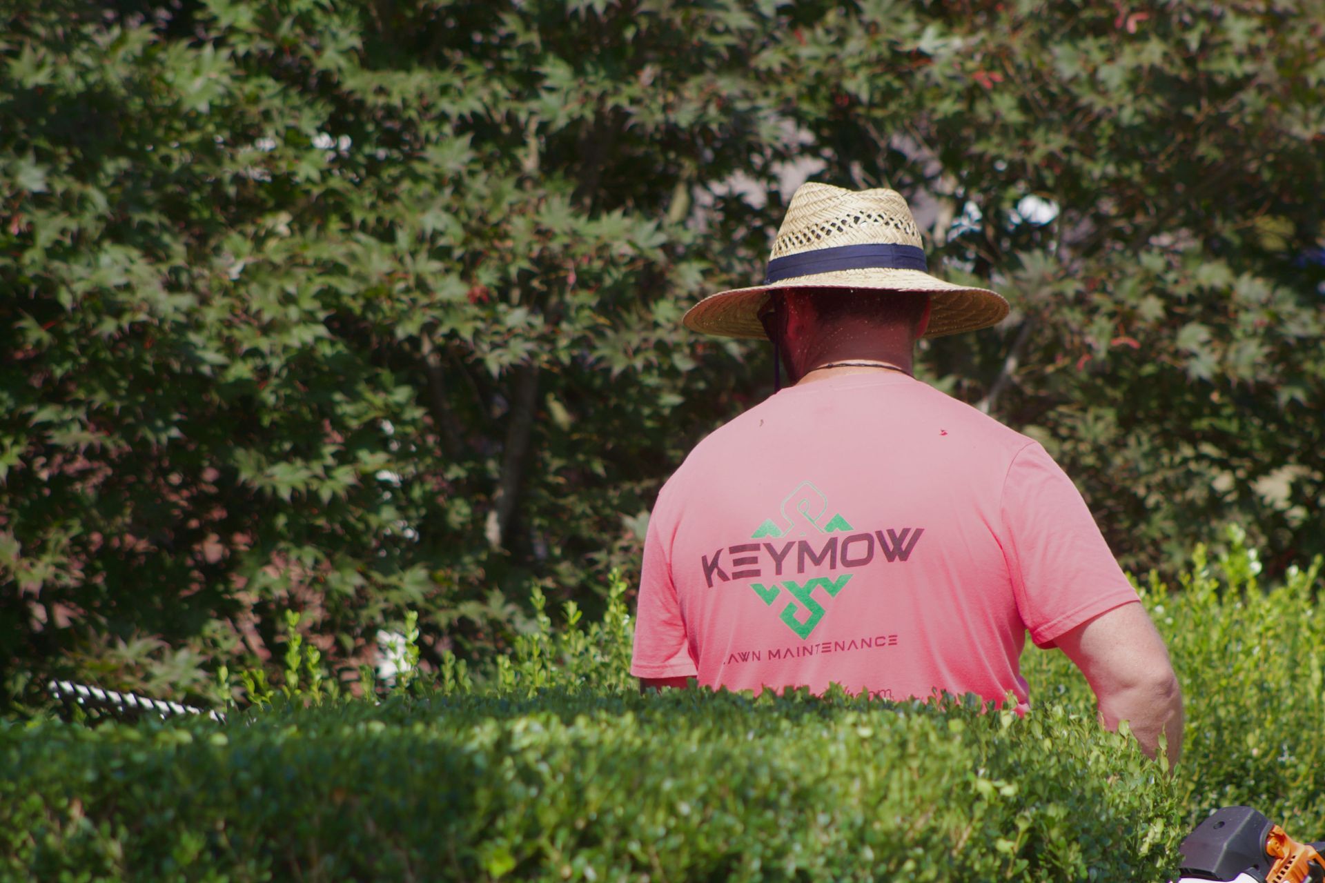 Person in a straw hat and pink shirt gardening in a green hedge-lined park.