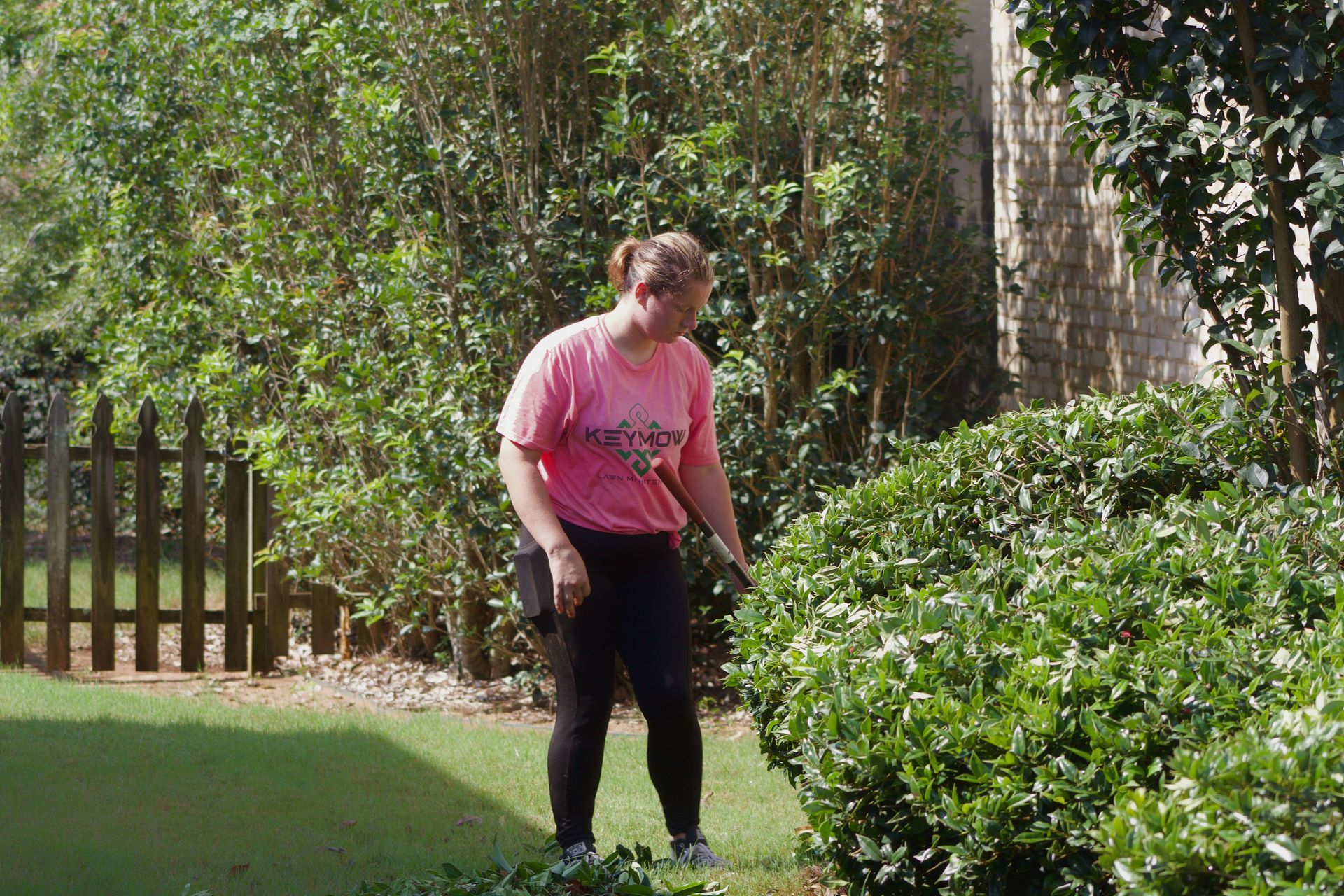 Person in a pink shirt standing in a garden beside dense green shrubs and a stone wall.