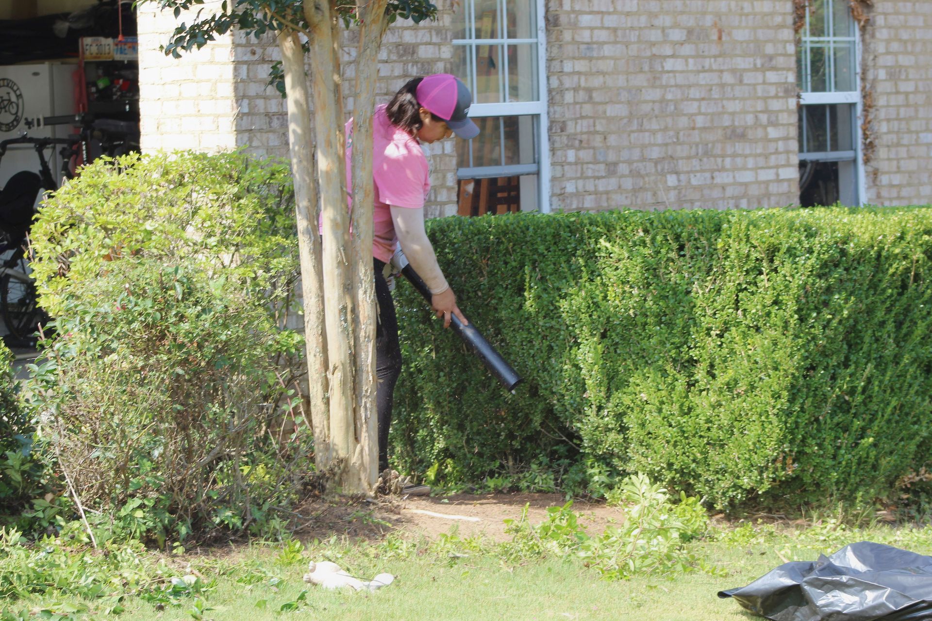 Person using a leaf blower beside a hedge in a yard