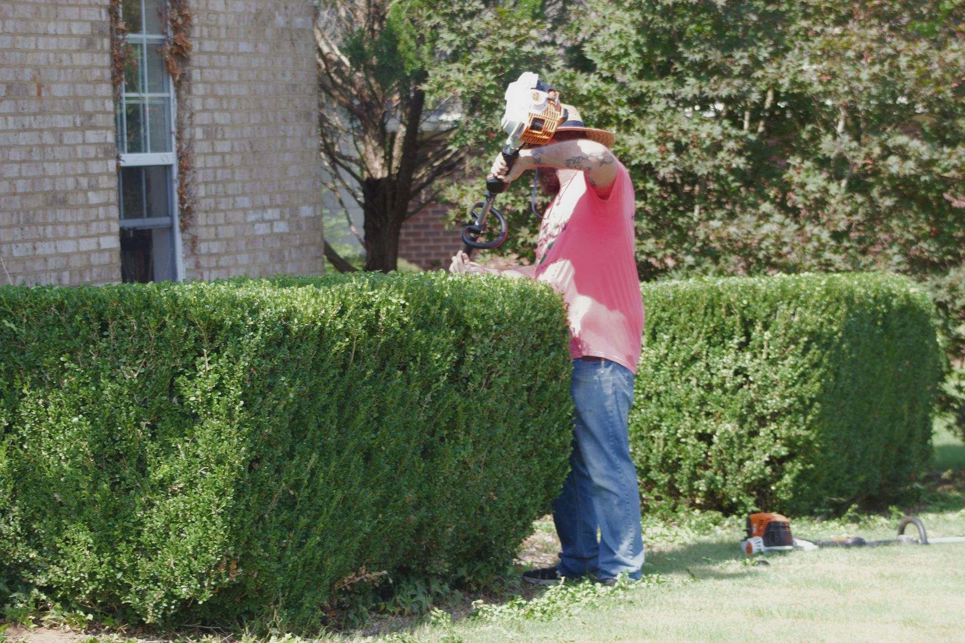 Person trimming a tall green hedge beside a brick house with a hedge trimmer