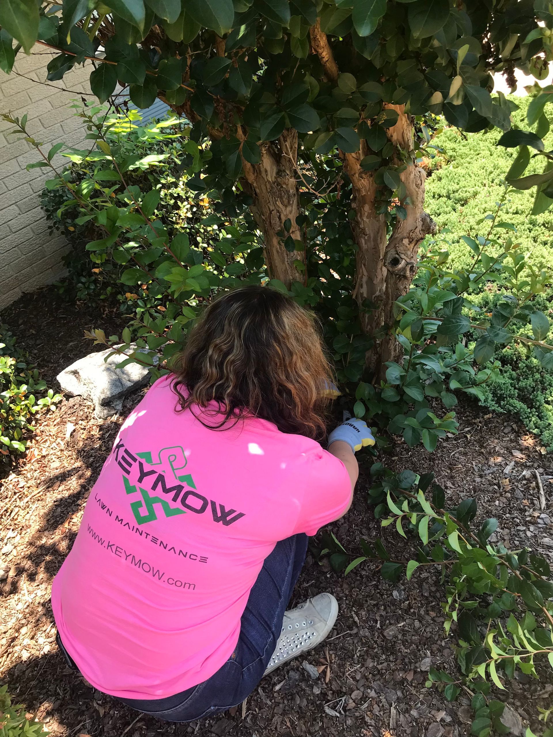 Person in a bright pink shirt crouches by a tree, tending plants in a garden.