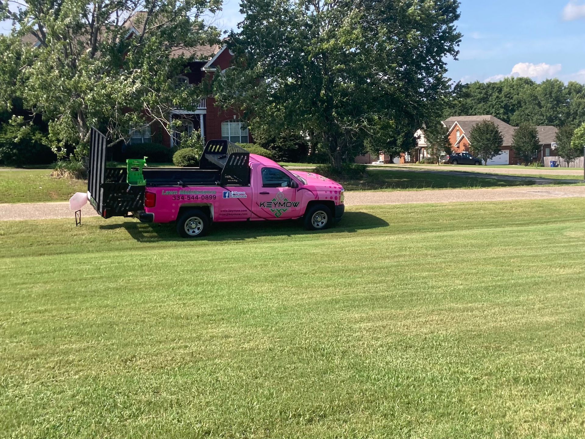 Bright pink pickup truck parked on a grassy lawn under trees in a suburban yard
