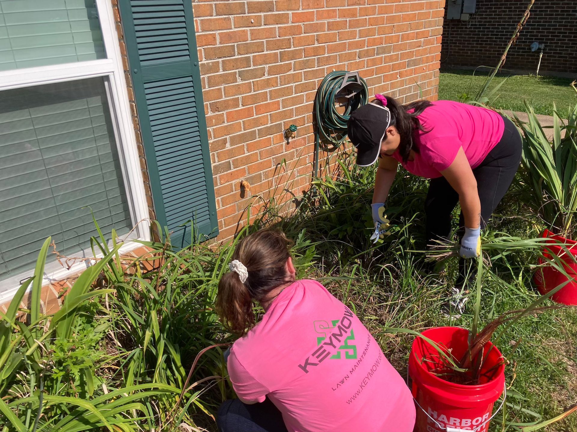 Two people in pink shirts pull weeds beside a brick house, with red buckets nearby.