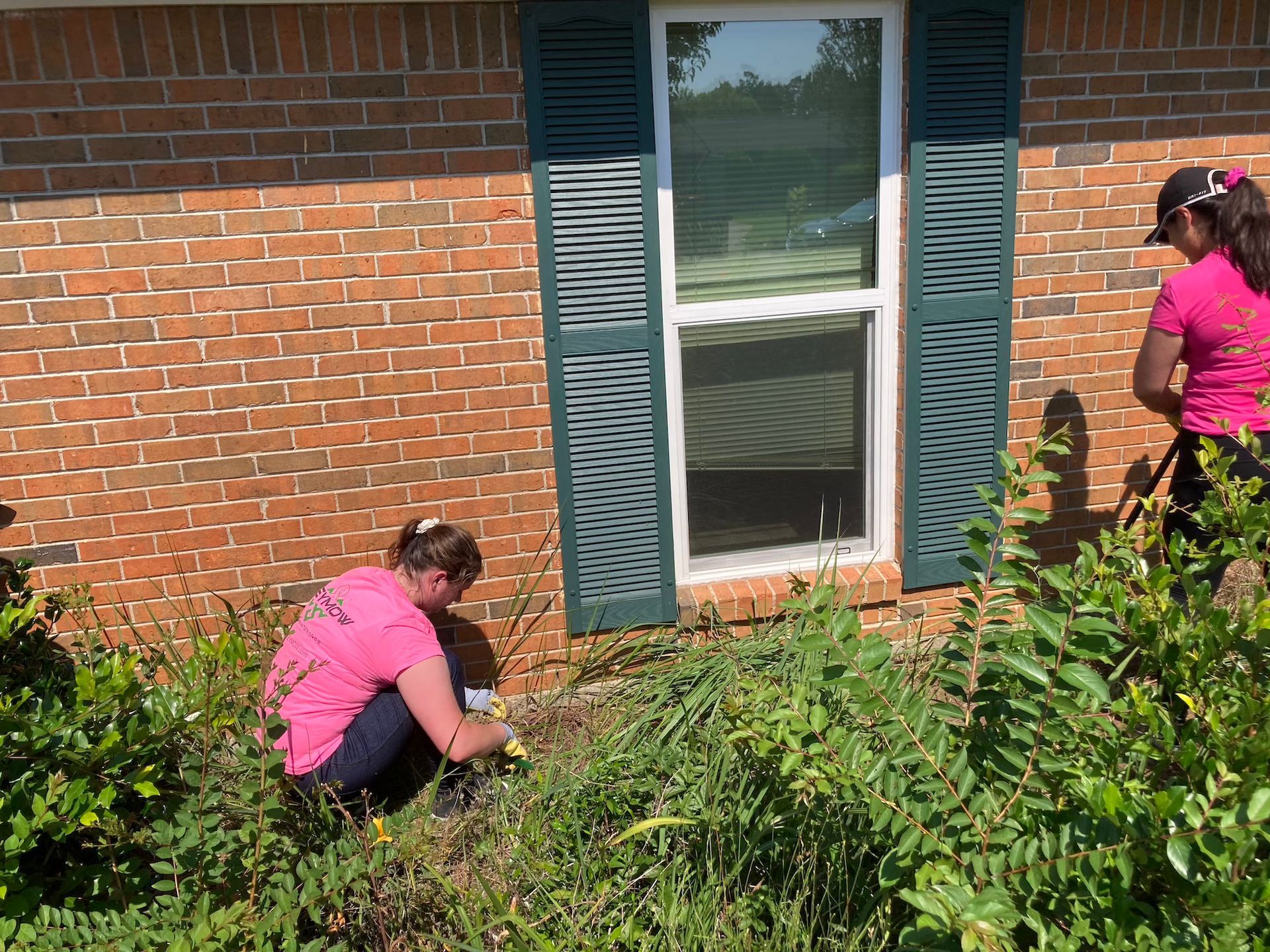 Two people in pink shirts crouch in overgrown plants by a brick house window with green shutters.