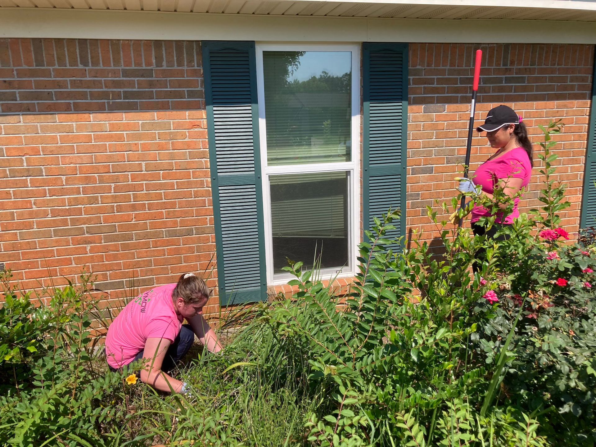 Two people in pink shirts gardening beside a brick house, trimming bushes near a window