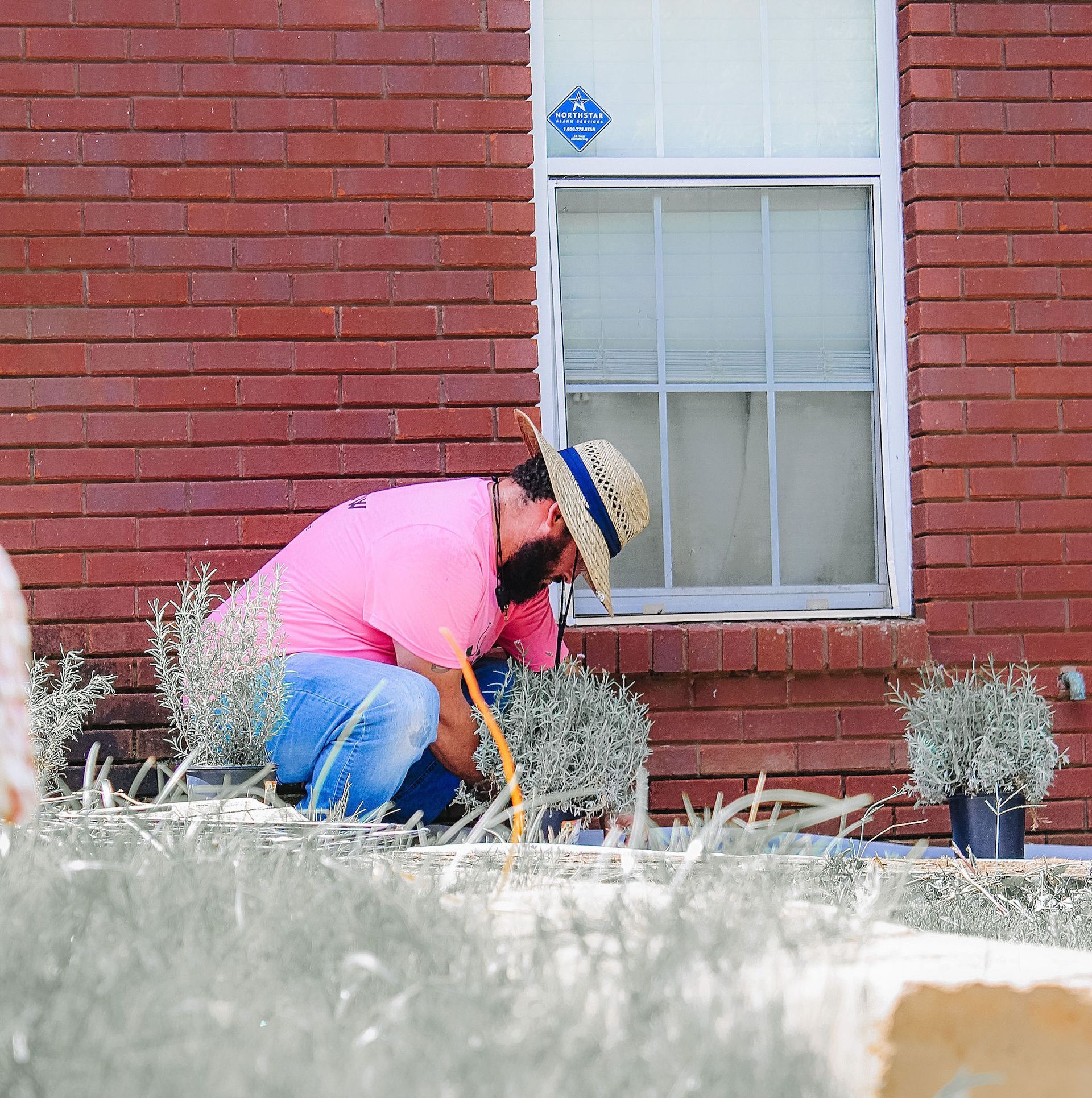 Person in a pink shirt kneels by a brick house, tending plants near a window.