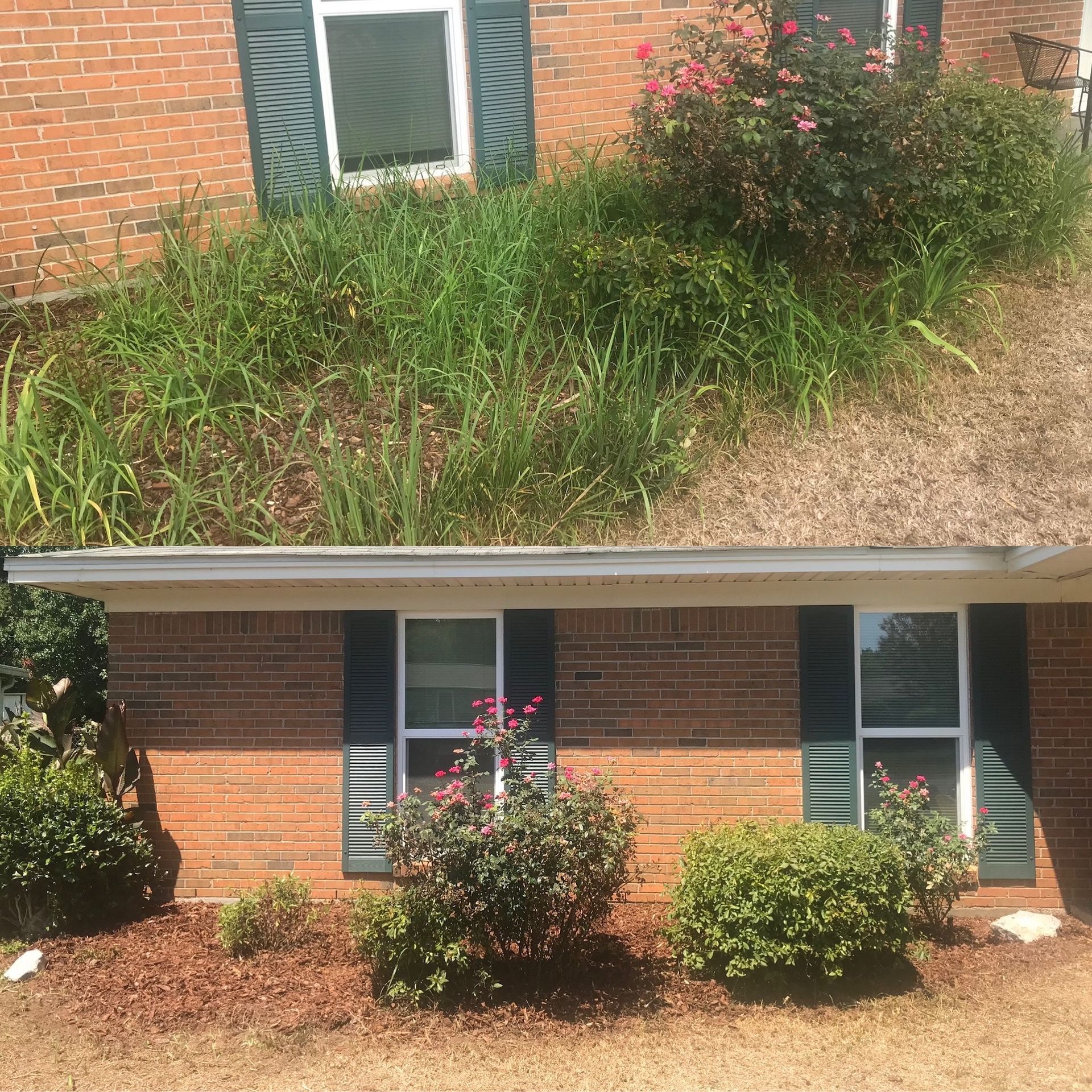 Brick house with overgrown grassy roof above a porch and shrubs in front