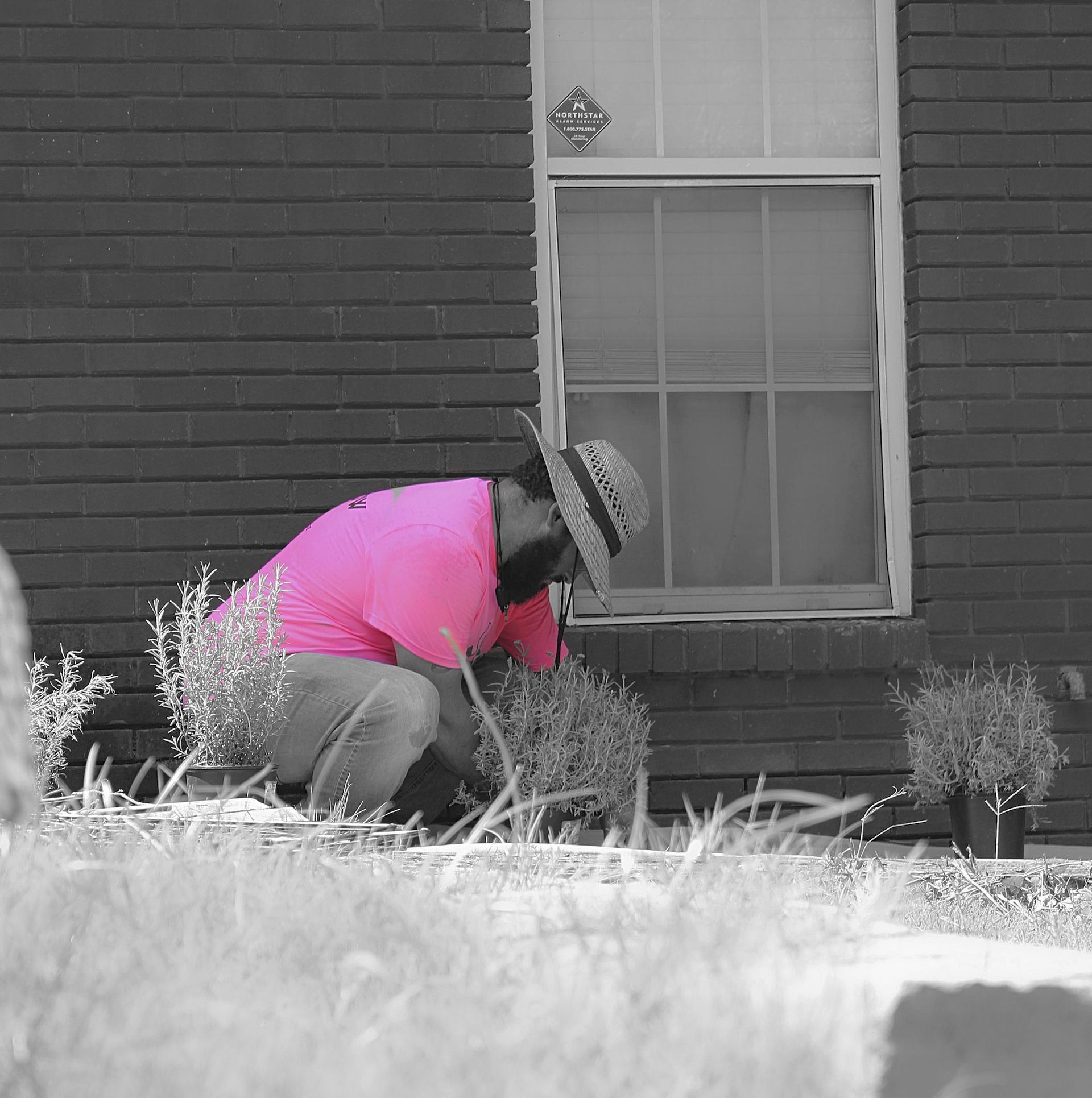 Person in a bright pink jacket crouches beside a house window, tending to plants in the yard.
