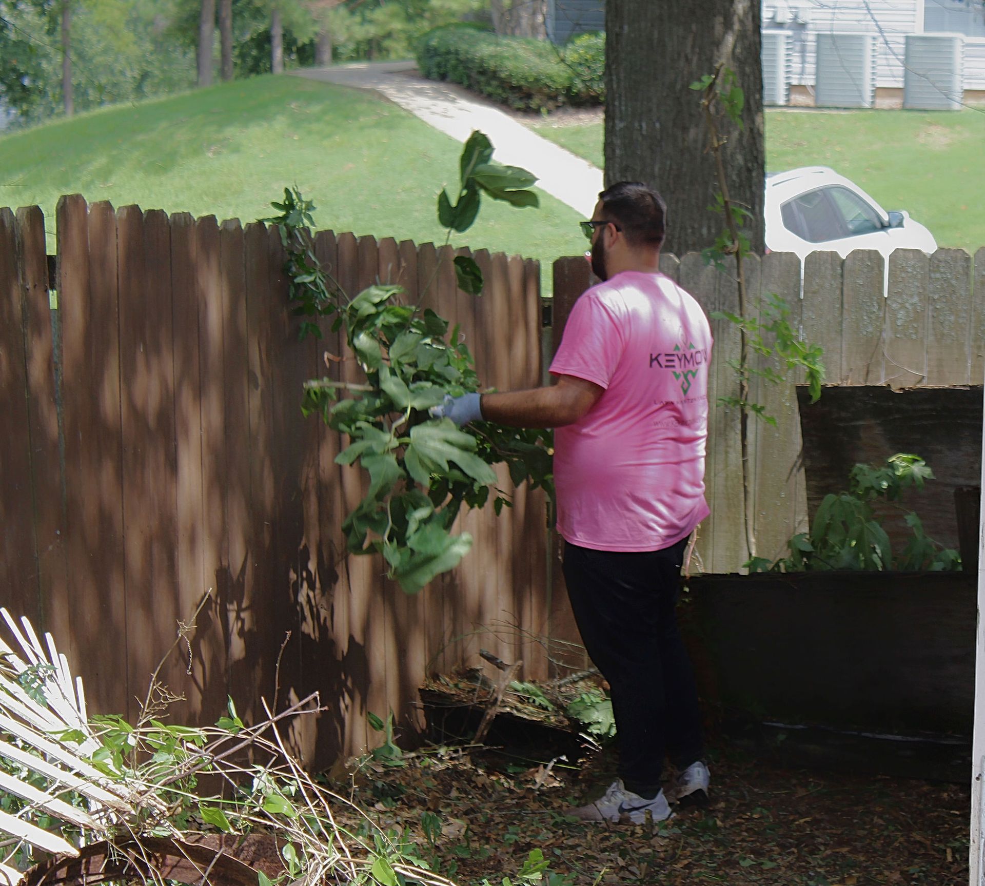 Person in pink shirt pruning a tree by a wooden fence in a backyard