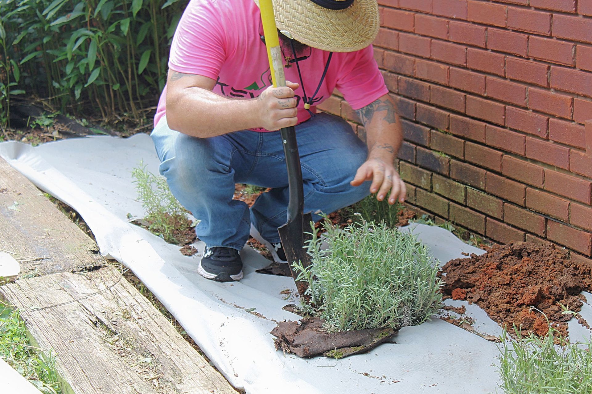 Person kneeling beside a brick wall, planting or tending a small shrub in a garden bed