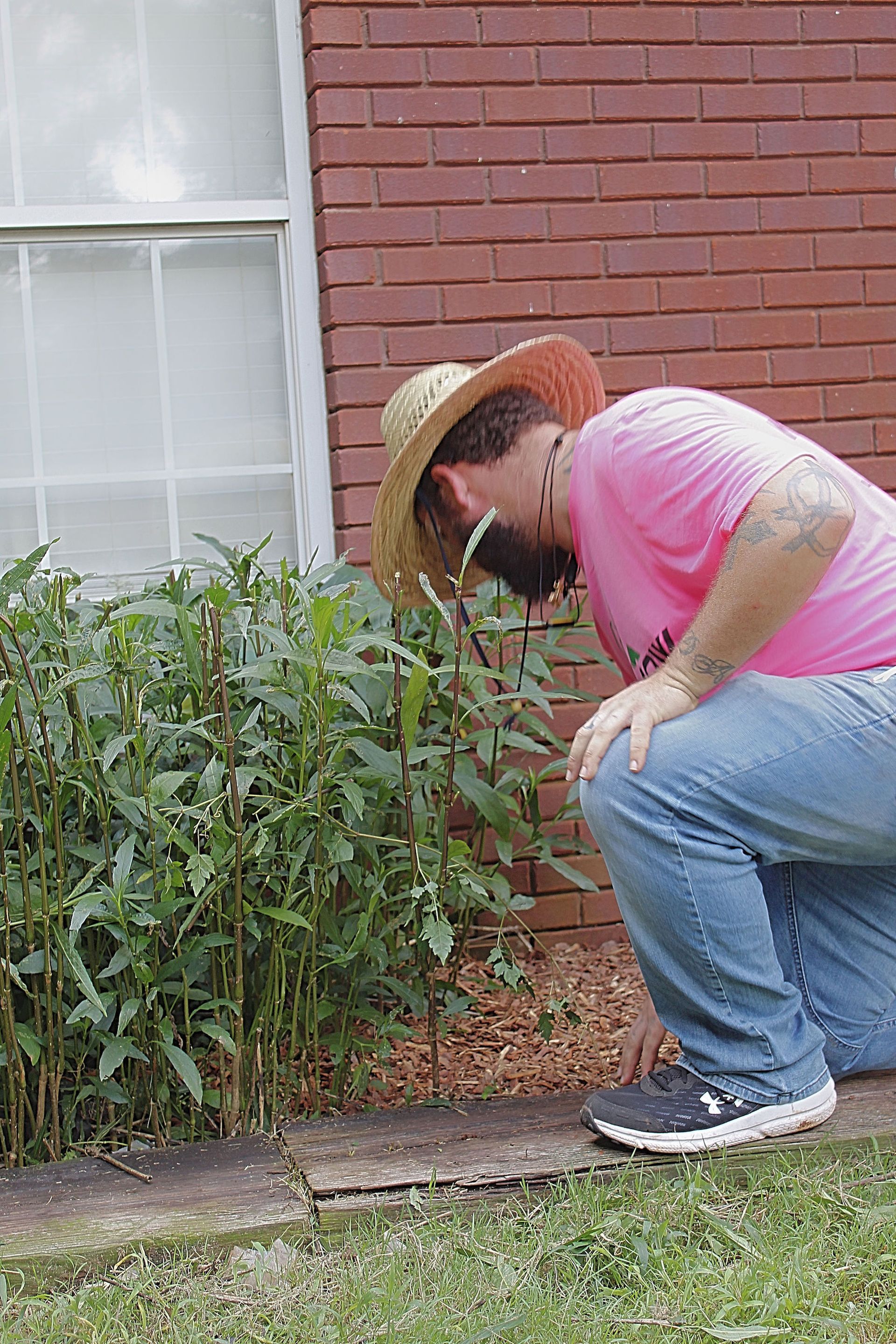 Person crouching beside green shrubs next to a brick wall, wearing a straw hat and pink shirt