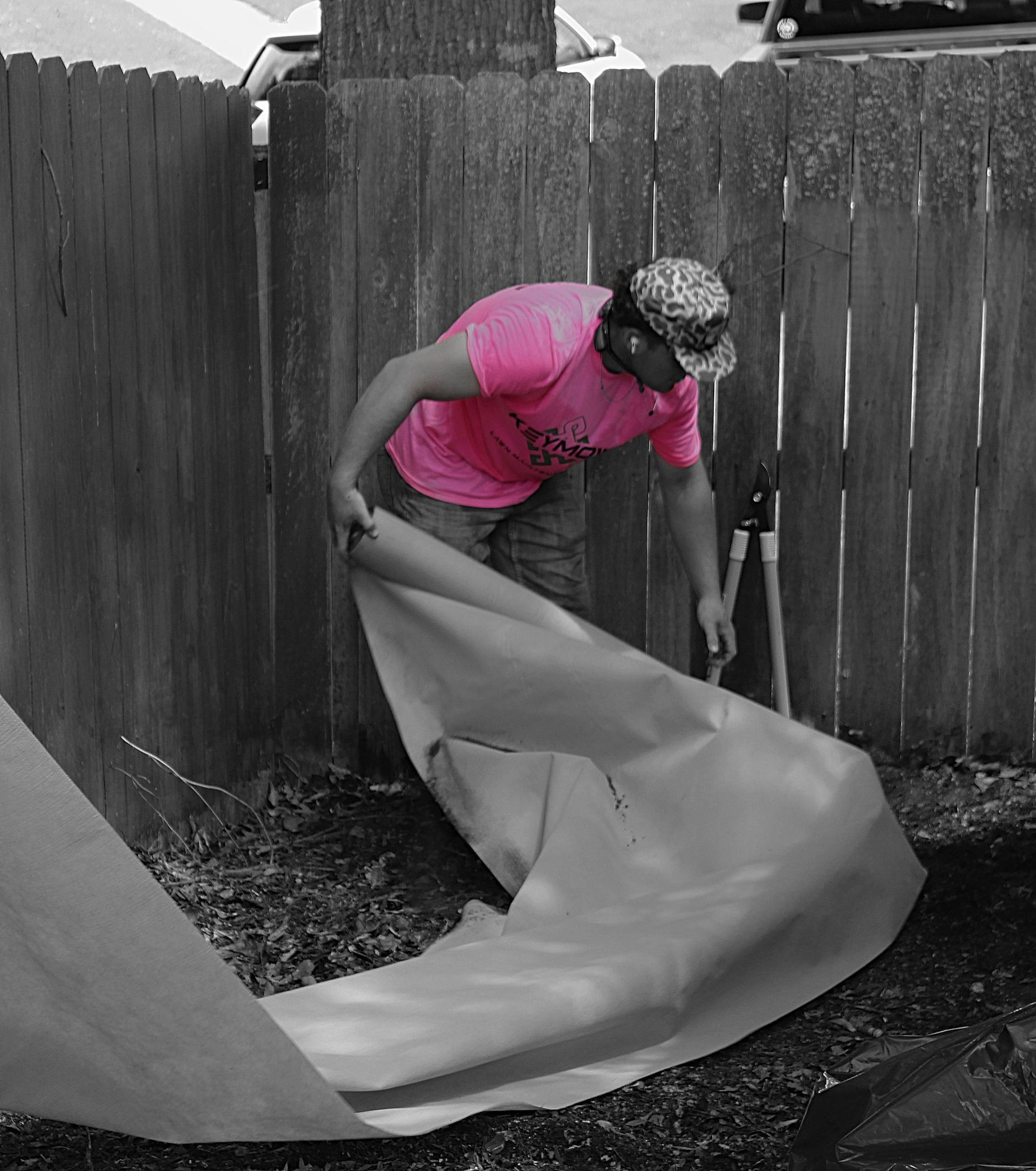 Person in pink shirt bending over, spreading a large tarp in a fenced backyard.