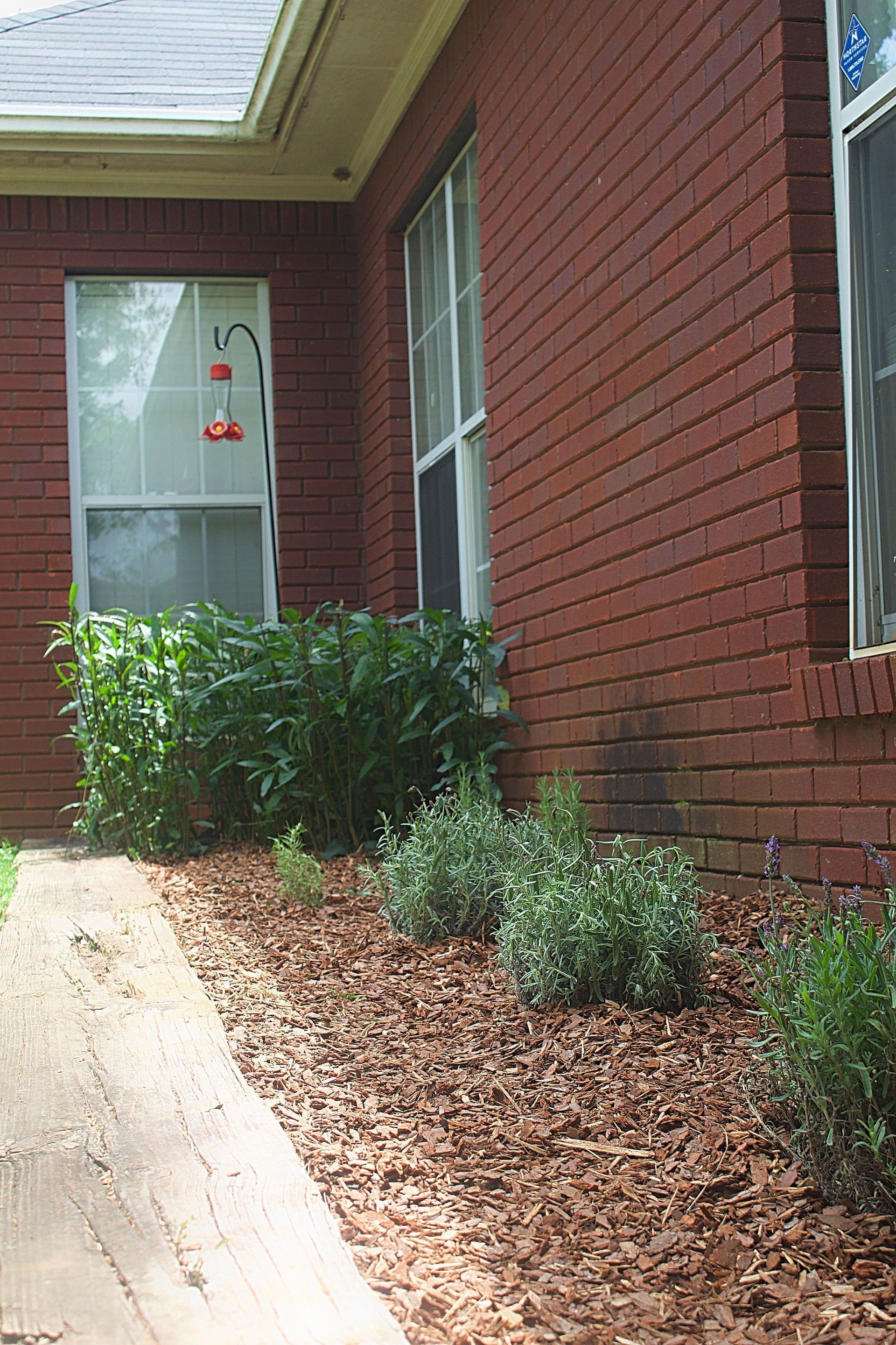Brick house exterior with a mulched planting bed and green shrubs along the walkway