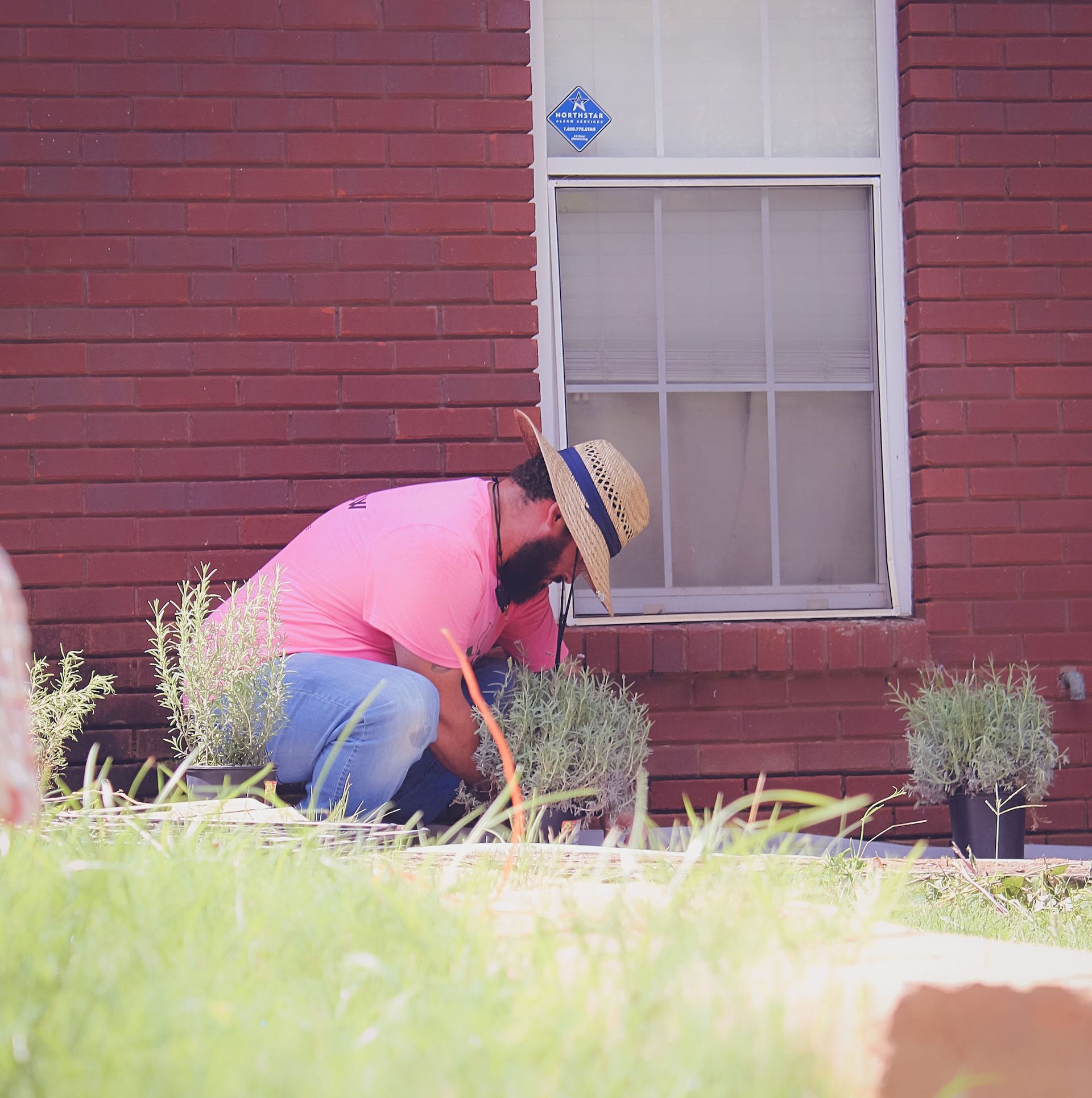 Person in pink shirt and straw hat gardening beside a red brick house.