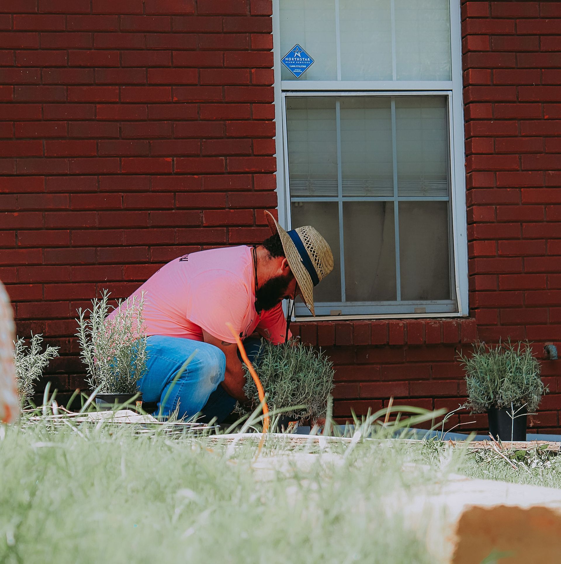 Person gardening beside red brick house window, wearing pink shirt and hat, crouched among plants