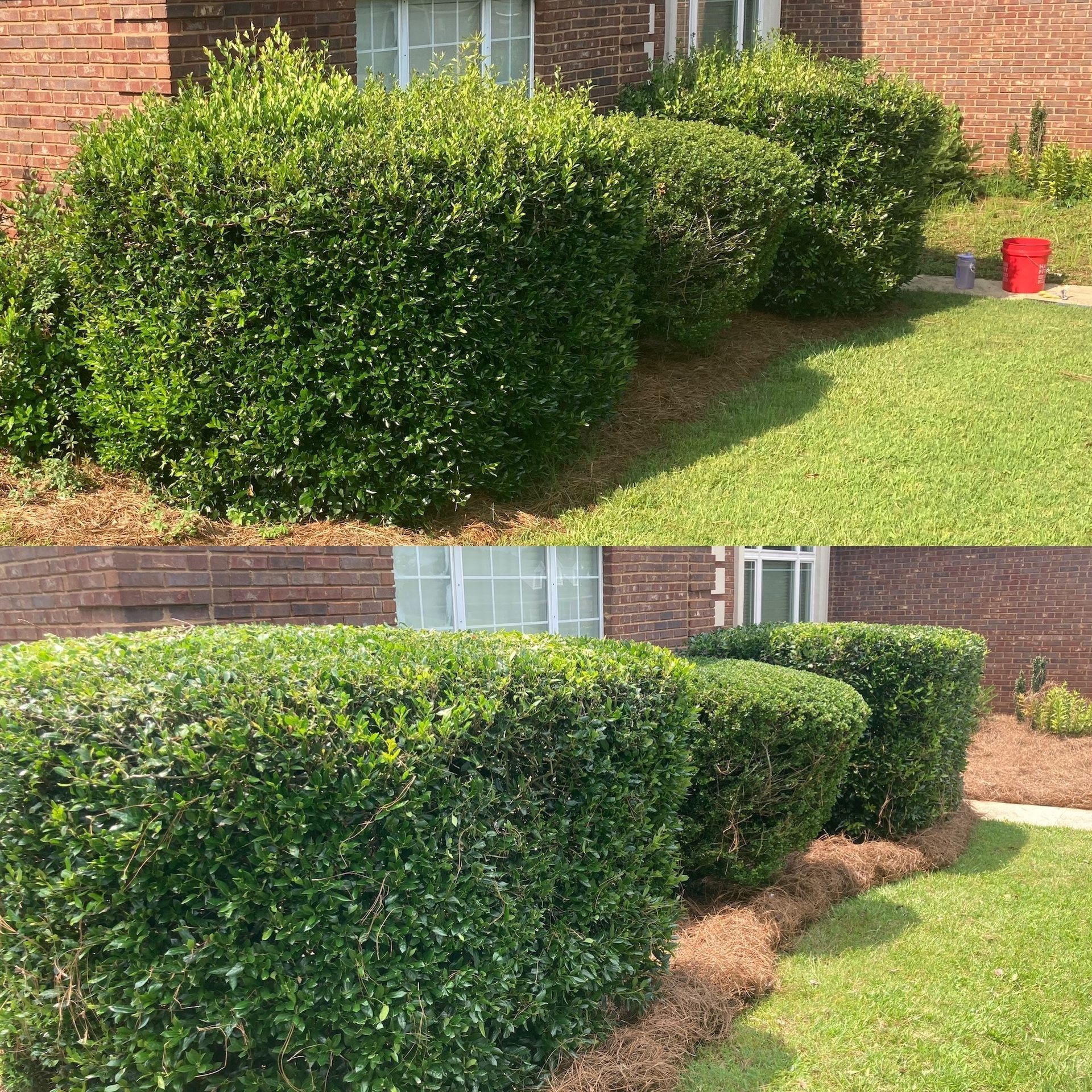 Trimmed green hedges along a brick house and lawn; before-and-after yard landscaping.