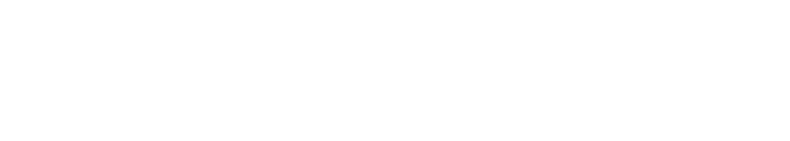 logo-image