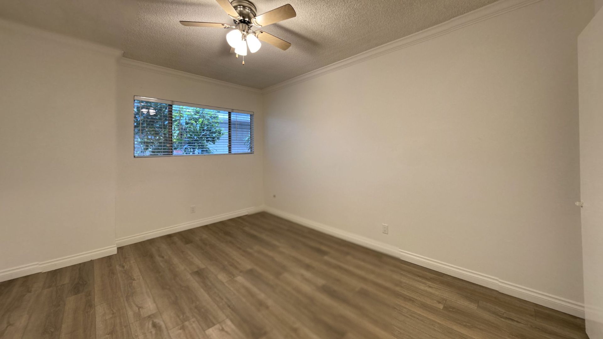 Empty room with light wood flooring, white walls, and a window with outside greenery.