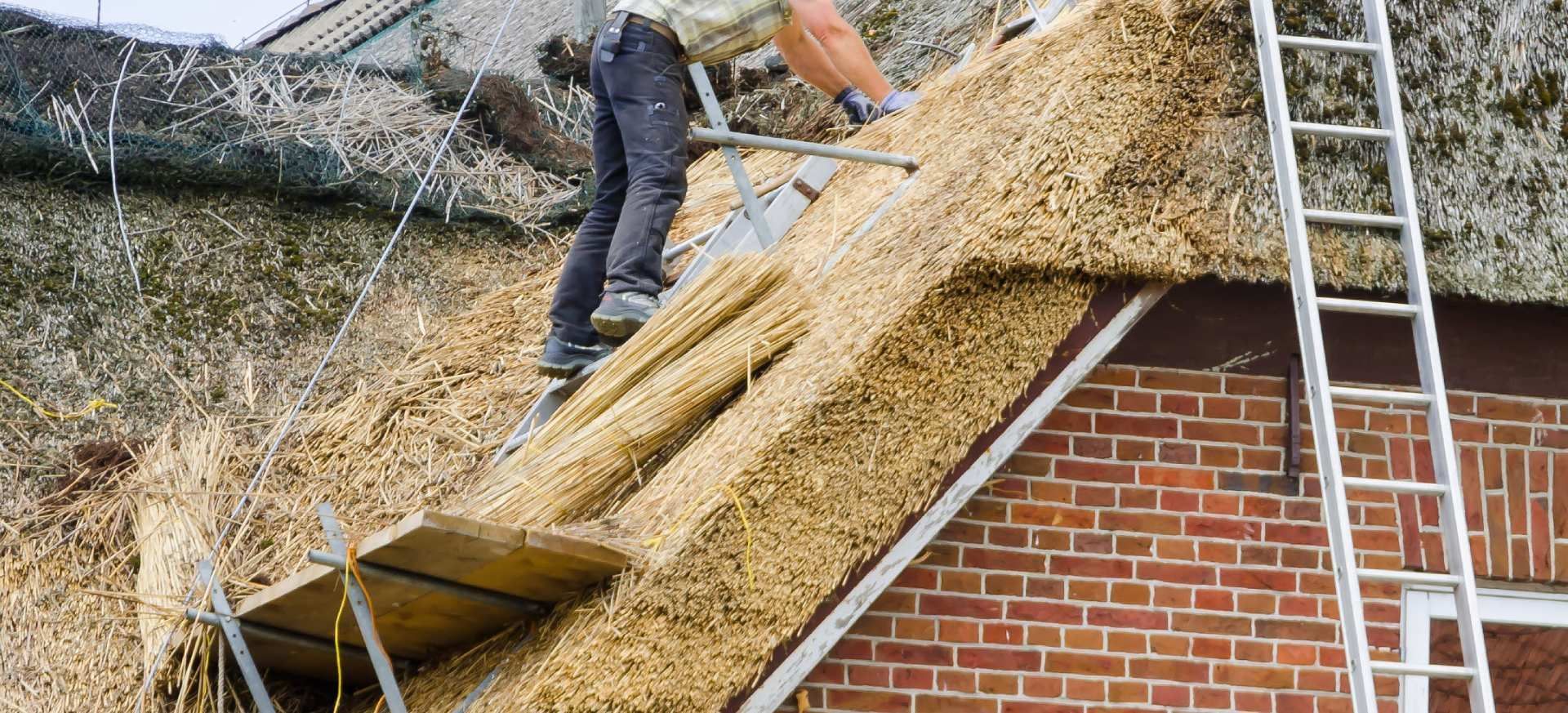 Persoon die een dak bedekt met riet, staand op een steiger naast een bakstenen gebouw en met een ladder.