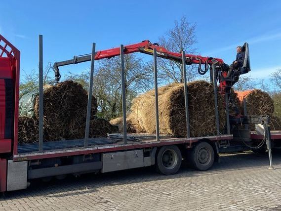 Een vrachtwagen laadt grote rietbalen met behulp van een kraan onder een blauwe lucht.