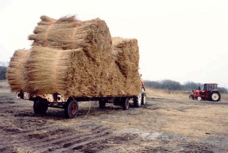 Rietbalen in Oostenrijk getrokken door een traktor.