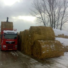 Een rode vrachtwagen laadt ronde rietbalen in een besneeuwd veld.