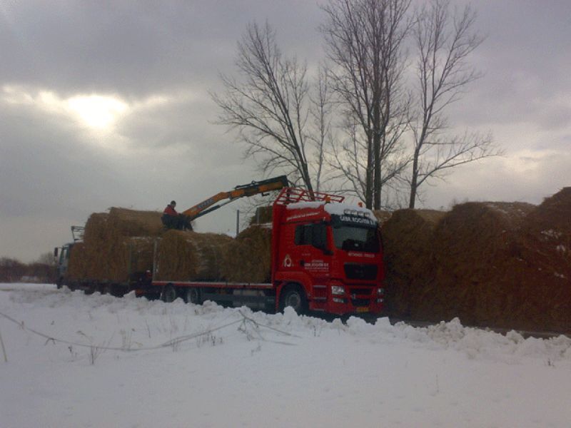 Een rode vrachtwagen laadt in een rietbalen besneeuwd veld. Een kraanarm tilt balen op. Bewolkte lucht.